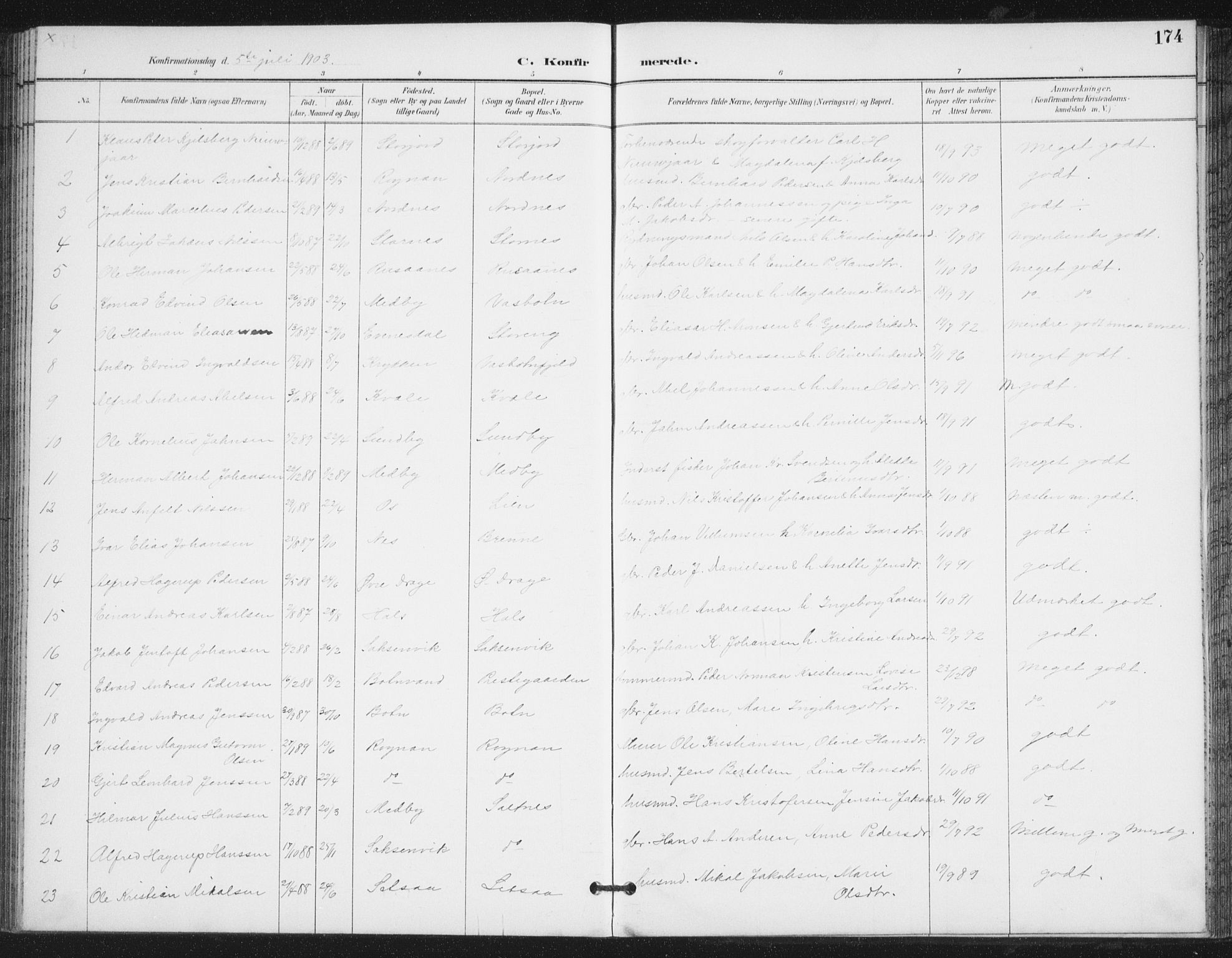 Ministerialprotokoller, klokkerbøker og fødselsregistre - Nordland, SAT/A-1459/847/L0682: Parish register (copy) no. 847C10, 1889-1907, p. 174