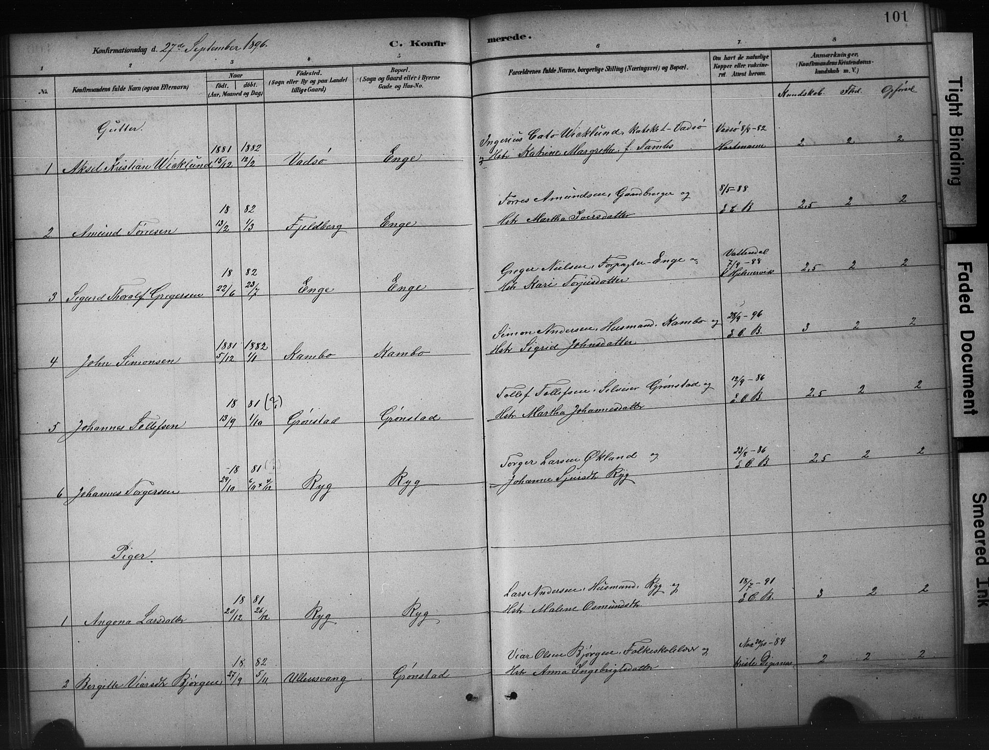 Etne sokneprestembete, SAB/A-75001/H/Hab: Parish register (copy) no. A 5, 1879-1896, p. 101