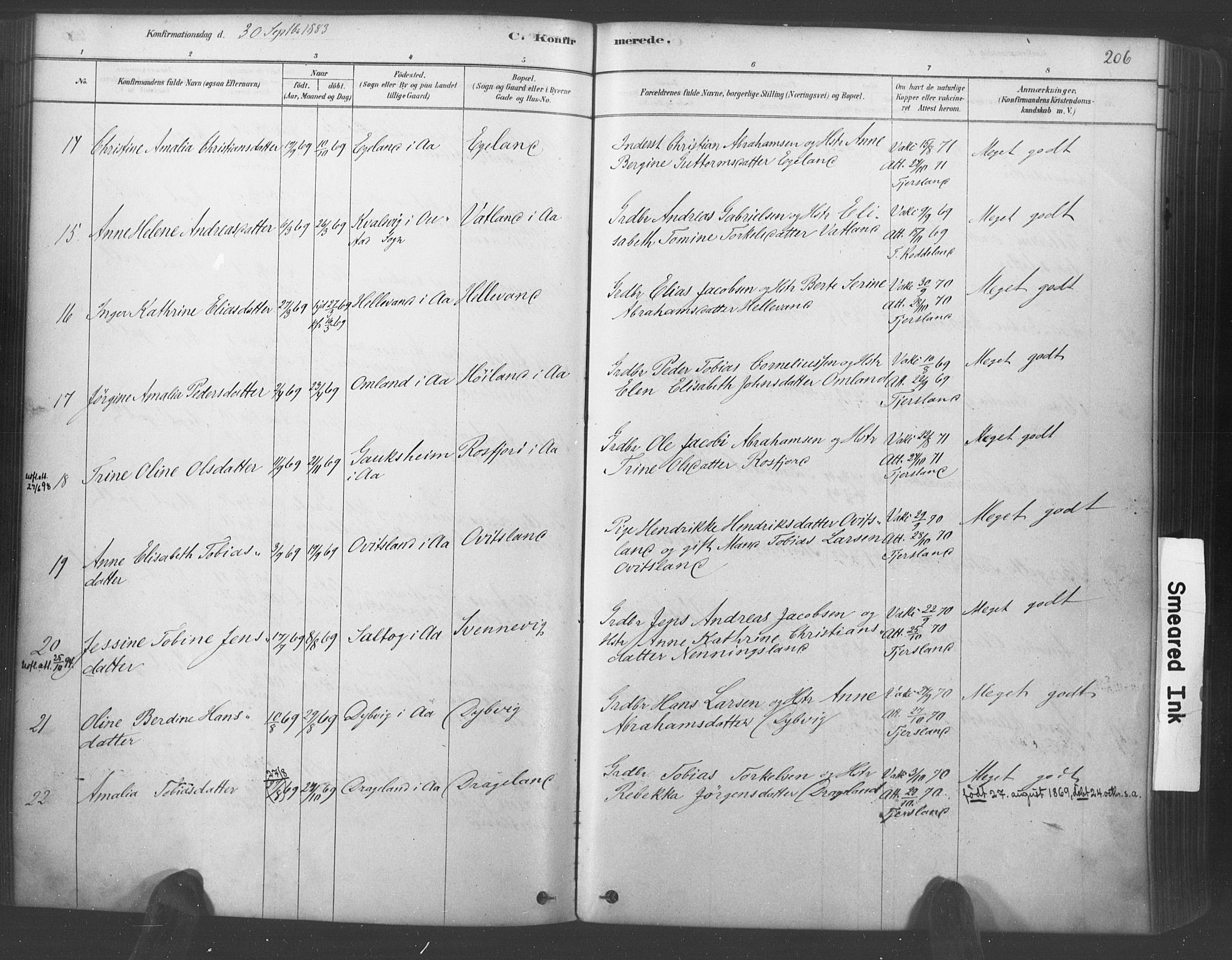 Lyngdal sokneprestkontor, AV/SAK-1111-0029/F/Fa/Fac/L0011: Parish register (official) no. A 11, 1878-1893, p. 206