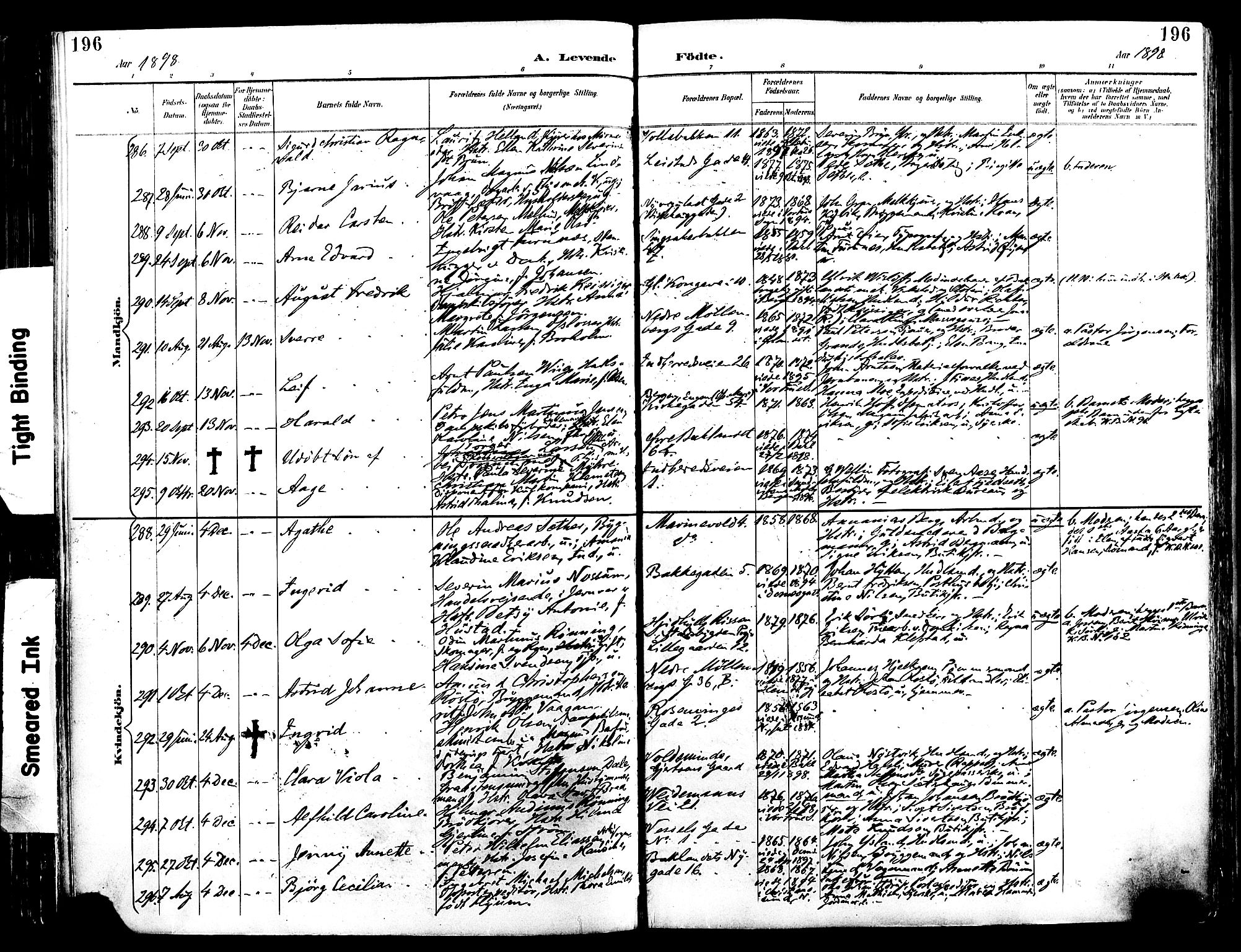 Ministerialprotokoller, klokkerbøker og fødselsregistre - Sør-Trøndelag, AV/SAT-A-1456/604/L0197: Parish register (official) no. 604A18, 1893-1900, p. 196