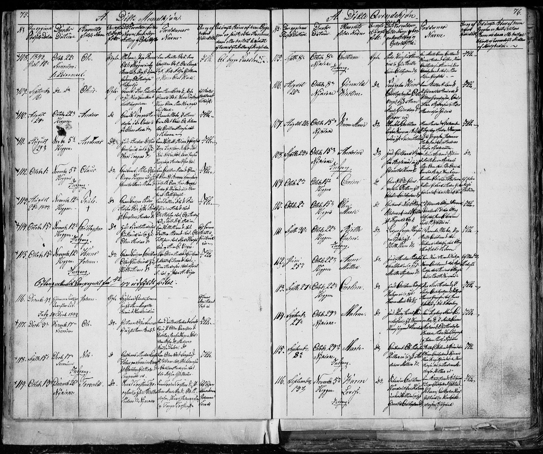 Modum kirkebøker, AV/SAKO-A-234/G/Ga/L0004: Parish register (copy) no. I 4, 1843-1846, p. 75-76