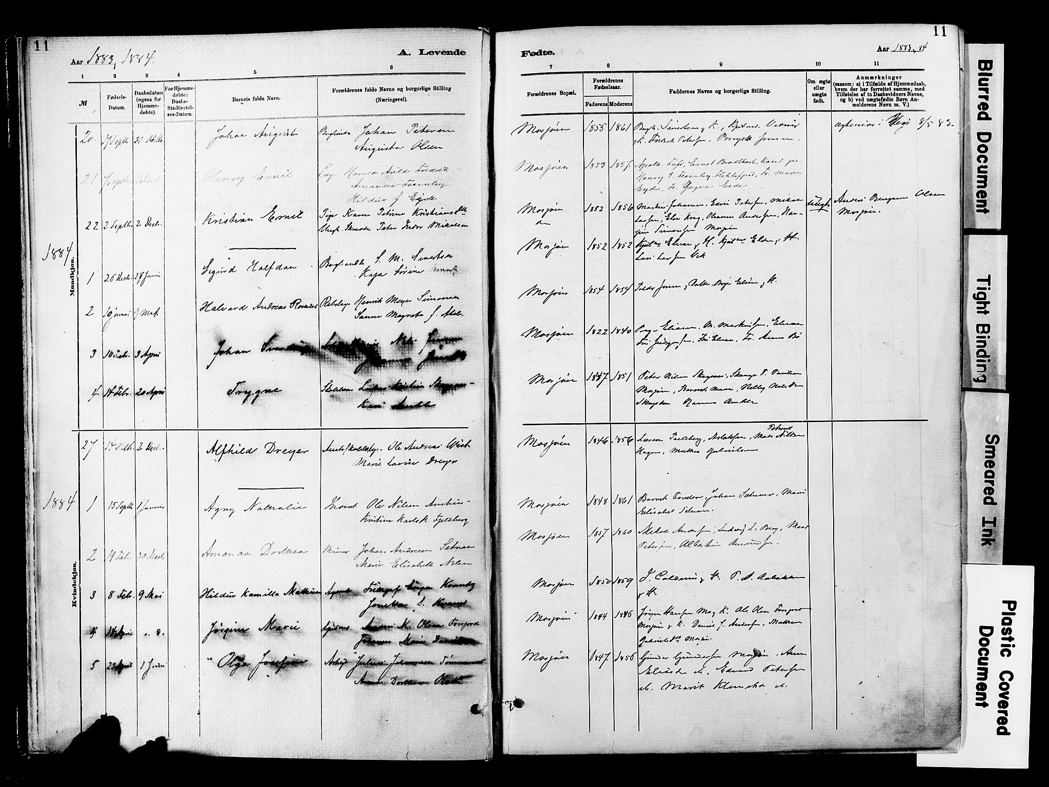 Ministerialprotokoller, klokkerbøker og fødselsregistre - Nordland, SAT/A-1459/820/L0296: Parish register (official) no. 820A17, 1880-1903, p. 11