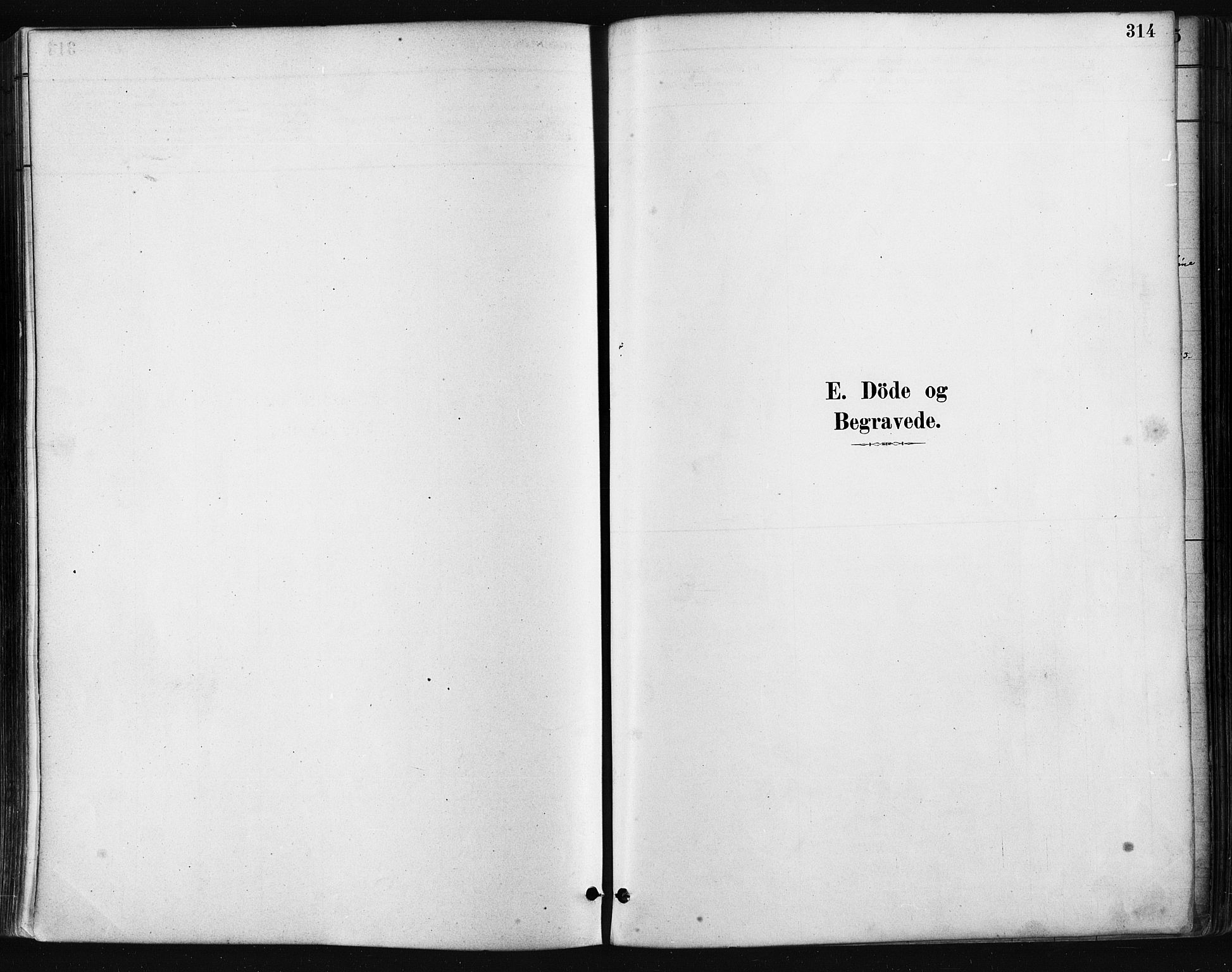 Mandal sokneprestkontor, SAK/1111-0030/F/Fa/Faa/L0016: Parish register (official) no. A 16, 1880-1890, p. 314