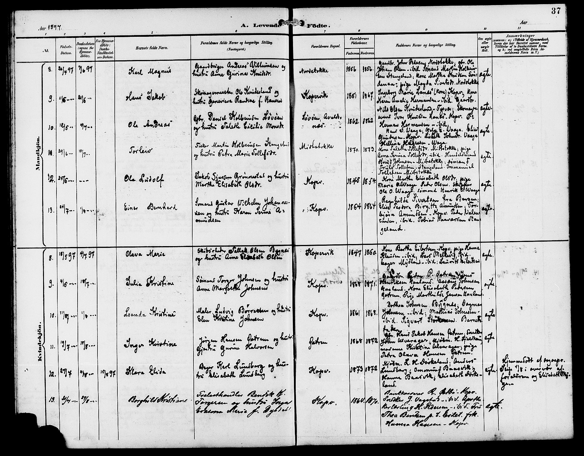 Kopervik sokneprestkontor, AV/SAST-A-101850/H/Ha/Hab/L0003: Parish register (copy) no. B 3, 1891-1909, p. 37