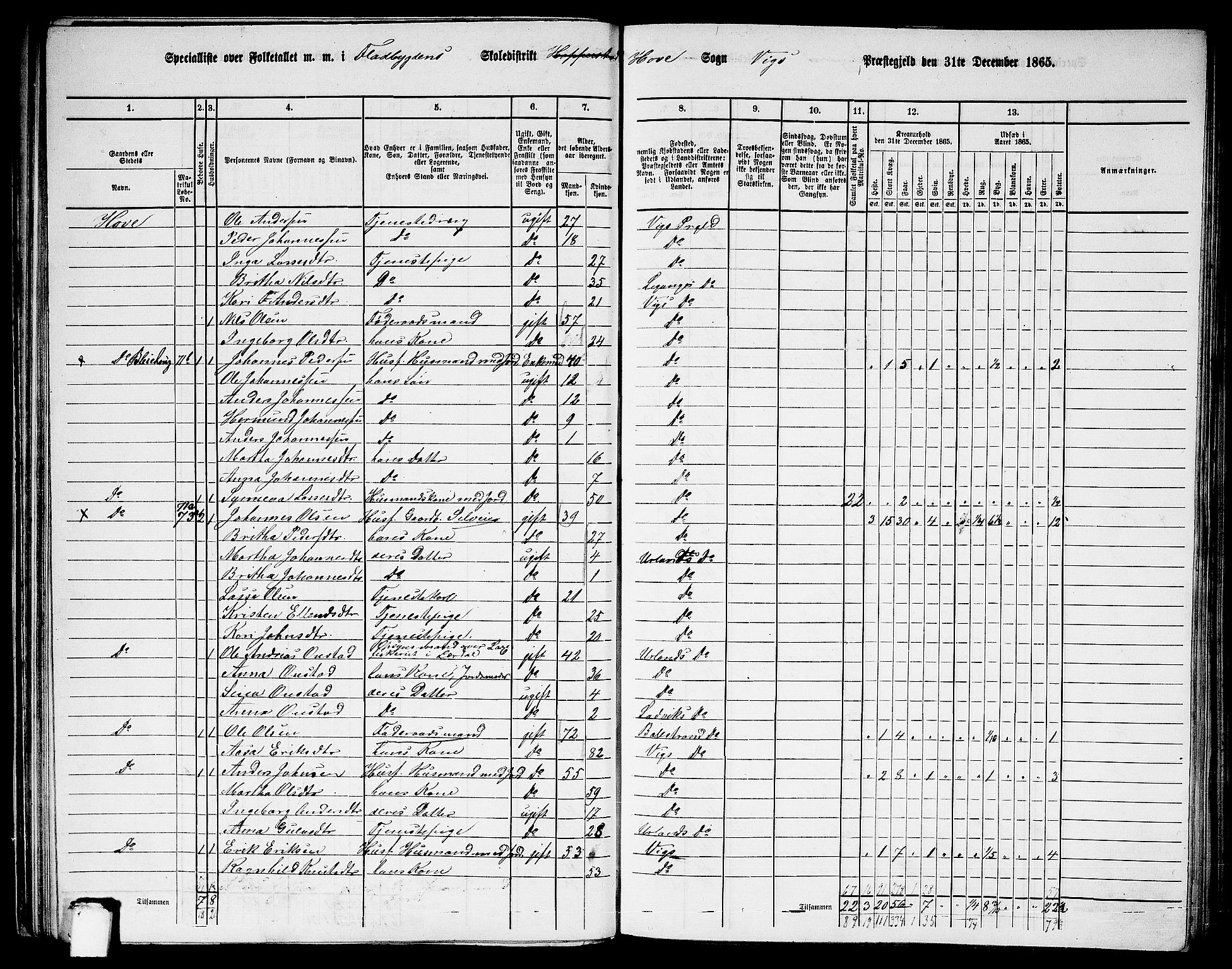 RA, 1865 census for Vik, 1865, p. 47