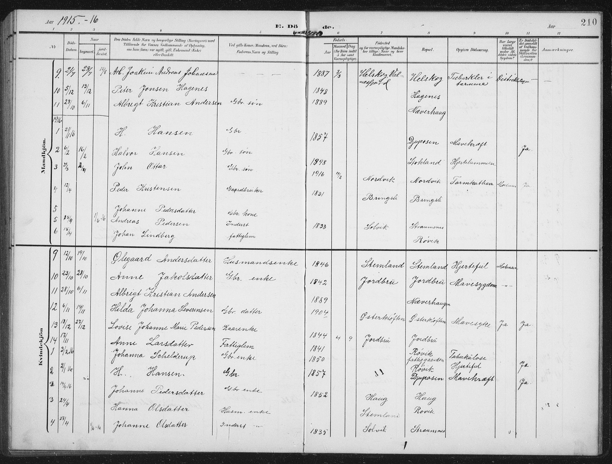 Ministerialprotokoller, klokkerbøker og fødselsregistre - Nordland, AV/SAT-A-1459/851/L0726: Parish register (copy) no. 851C01, 1902-1924, p. 210