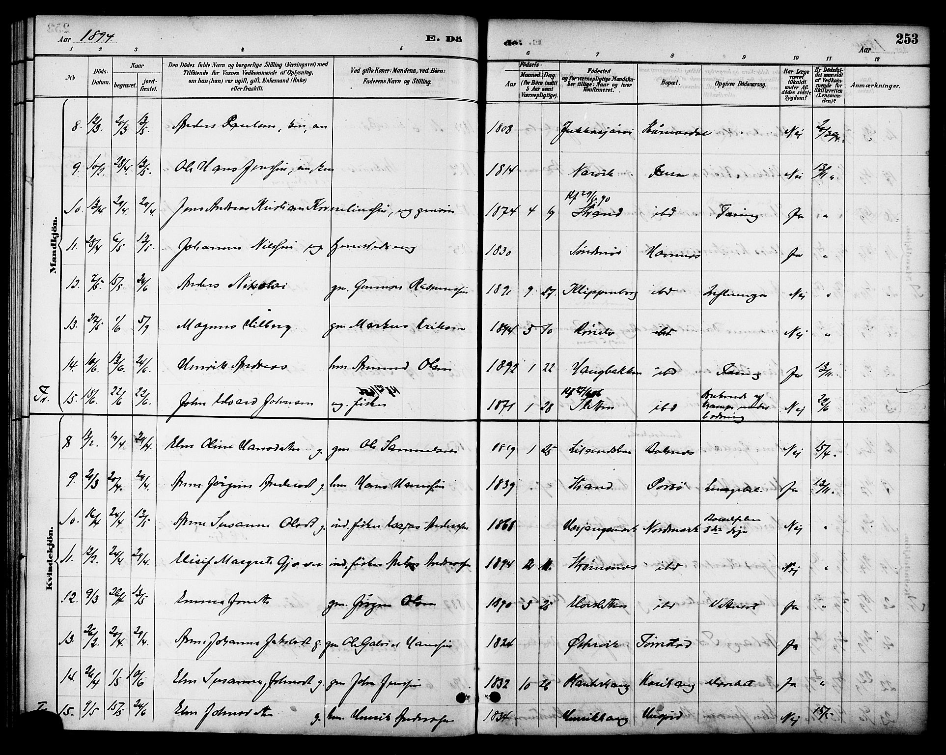 Ministerialprotokoller, klokkerbøker og fødselsregistre - Nordland, AV/SAT-A-1459/863/L0898: Parish register (official) no. 863A10, 1886-1897, p. 253