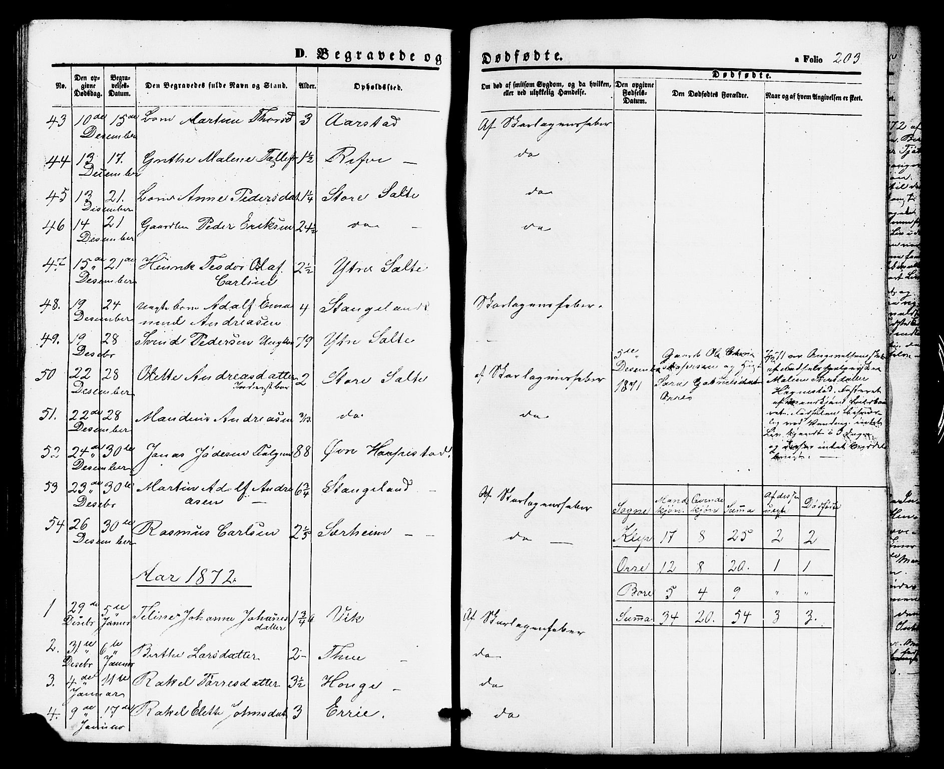 Klepp sokneprestkontor, SAST/A-101803/001/3/30BB/L0002: Parish register (copy) no. B 2, 1860-1875, p. 203
