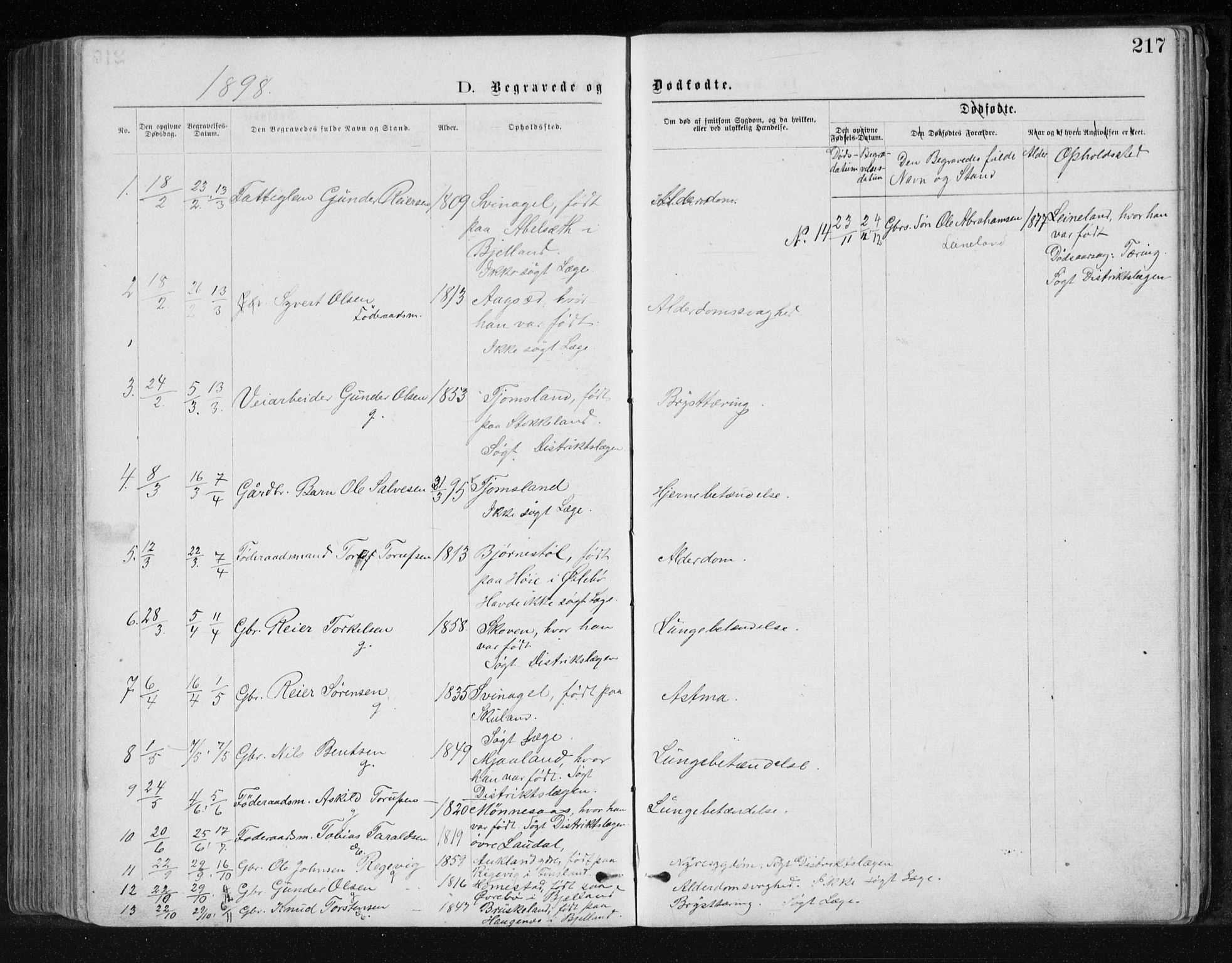 Holum sokneprestkontor, AV/SAK-1111-0022/F/Fb/Fbb/L0003: Parish register (copy) no. B 3, 1875-1898, p. 217