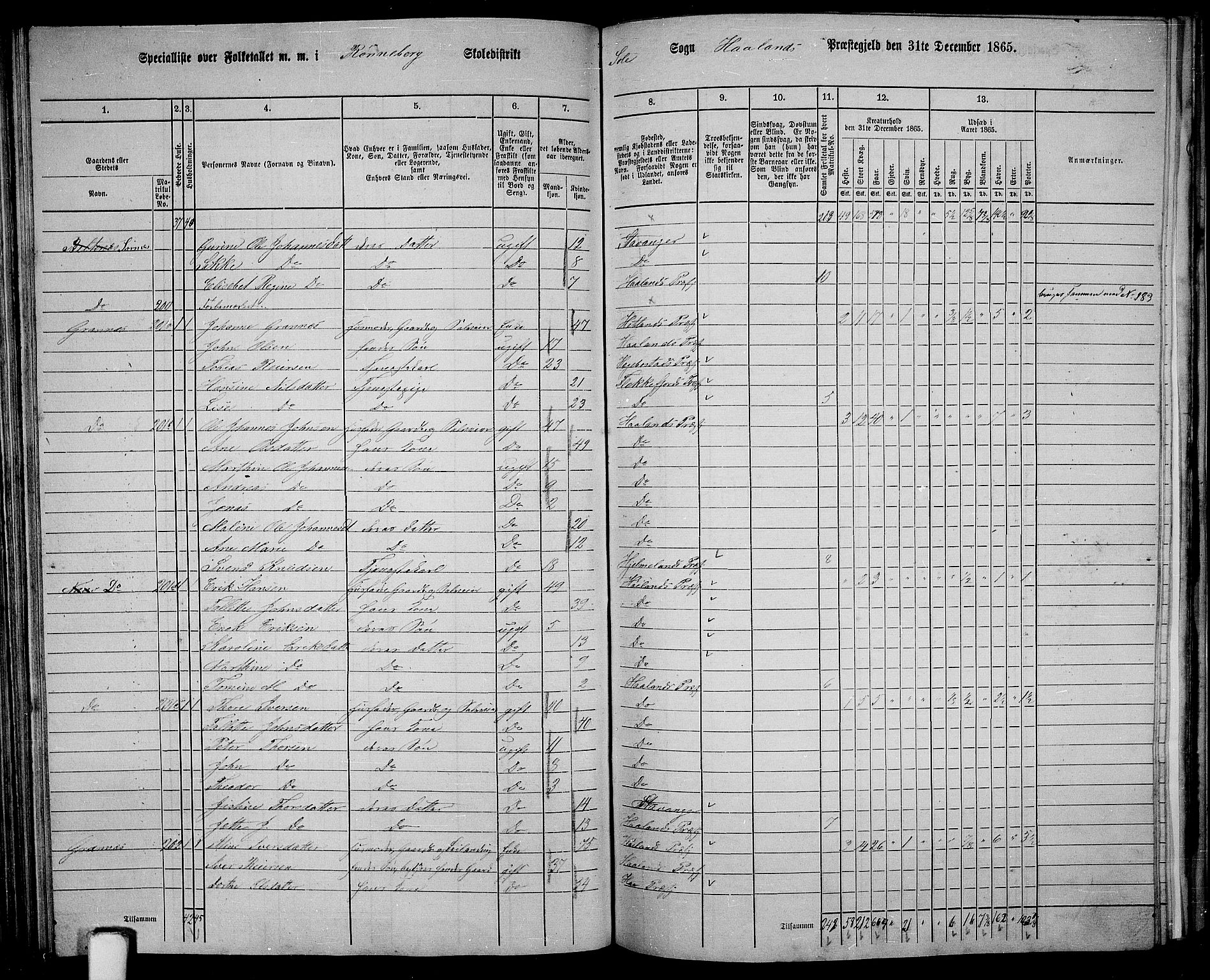 RA, 1865 census for Håland, 1865, p. 93