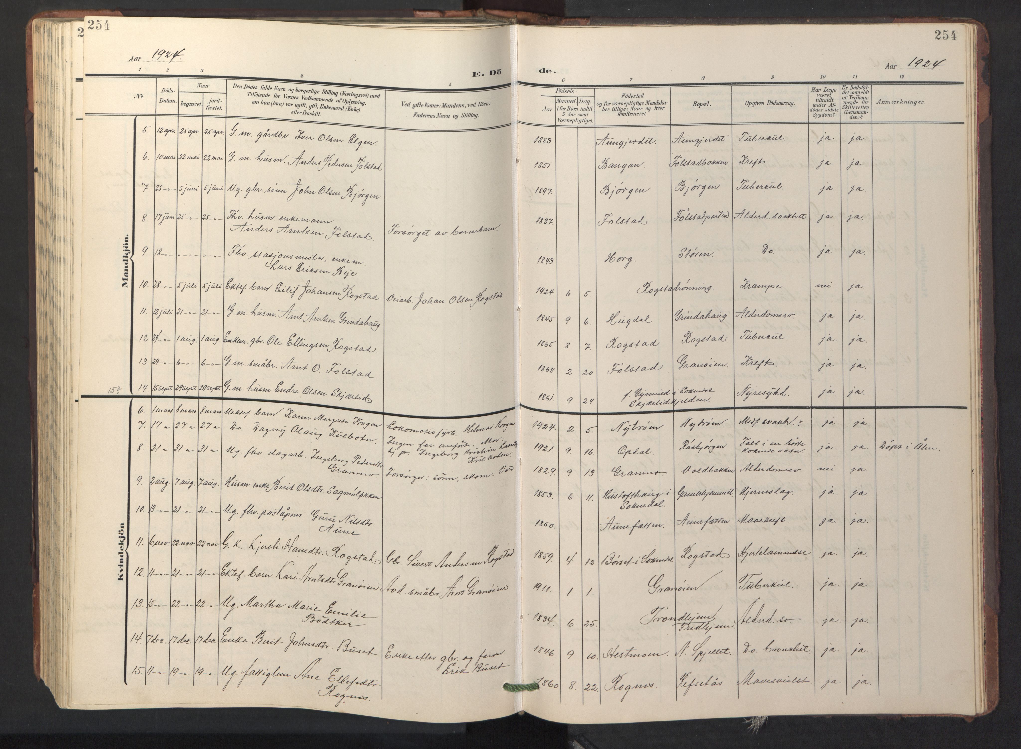 Ministerialprotokoller, klokkerbøker og fødselsregistre - Sør-Trøndelag, SAT/A-1456/687/L1019: Parish register (copy) no. 687C03, 1904-1931, p. 254
