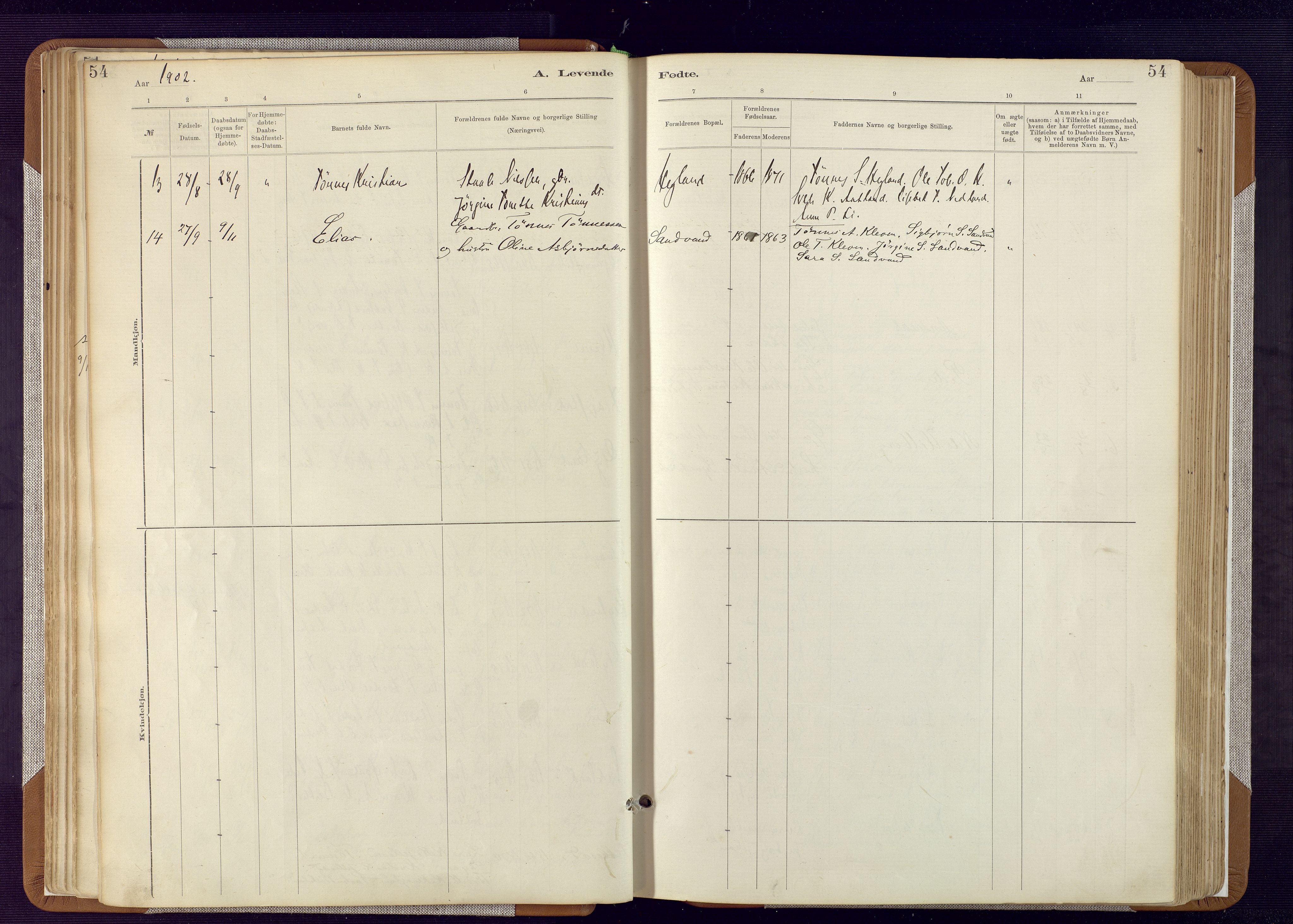 Bakke sokneprestkontor, AV/SAK-1111-0002/F/Fa/Fab/L0003: Parish register (official) no. A 3, 1884-1921, p. 54