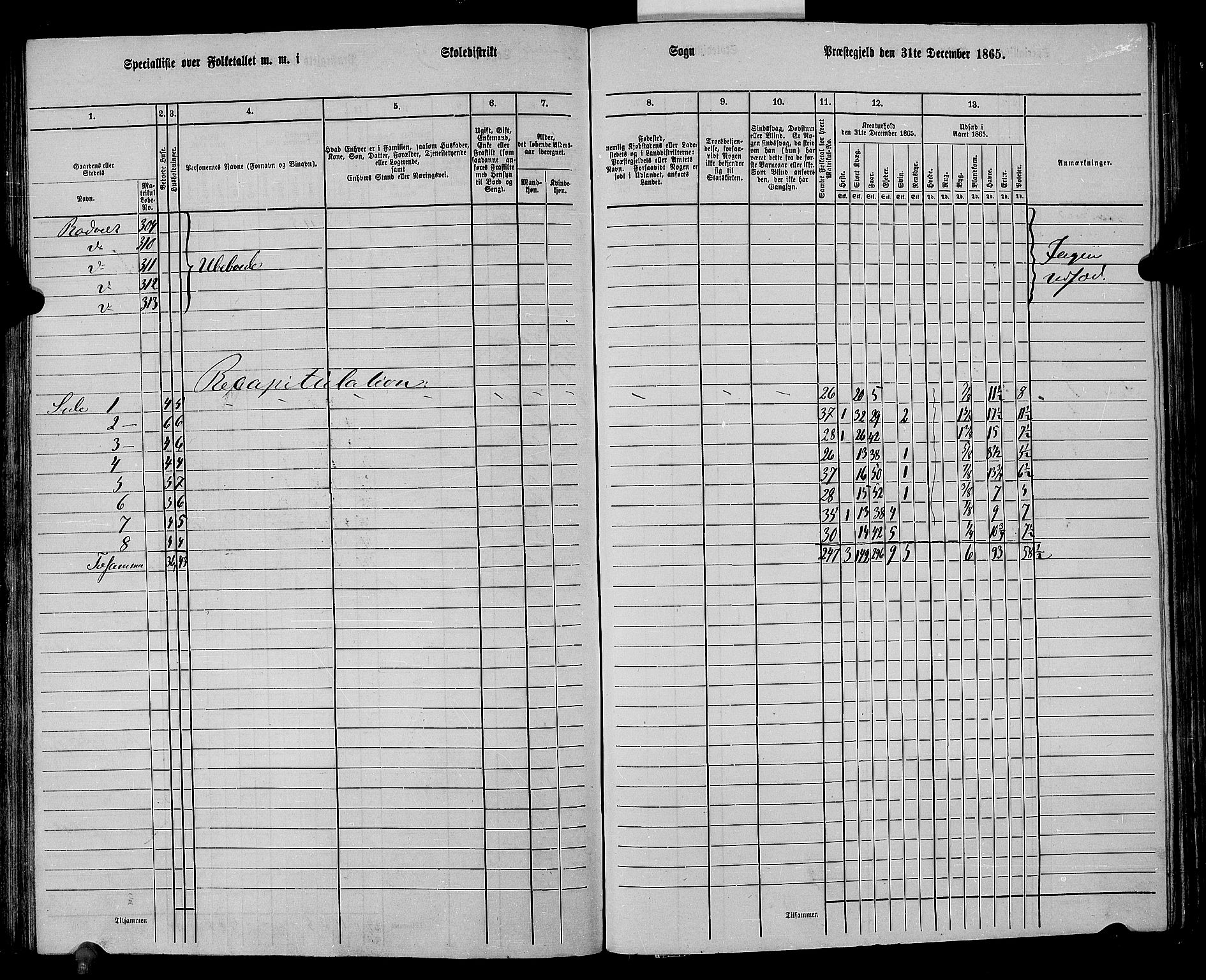 RA, 1865 census for Eigersund/Eigersund og Ogna, 1865, p. 100