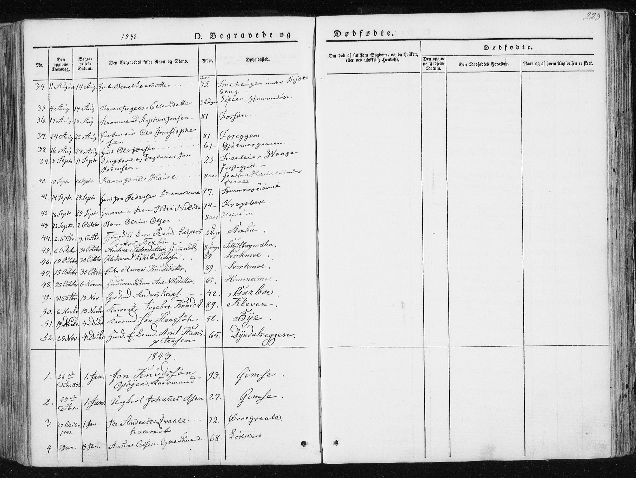 Ministerialprotokoller, klokkerbøker og fødselsregistre - Sør-Trøndelag, SAT/A-1456/668/L0805: Parish register (official) no. 668A05, 1840-1853, p. 223