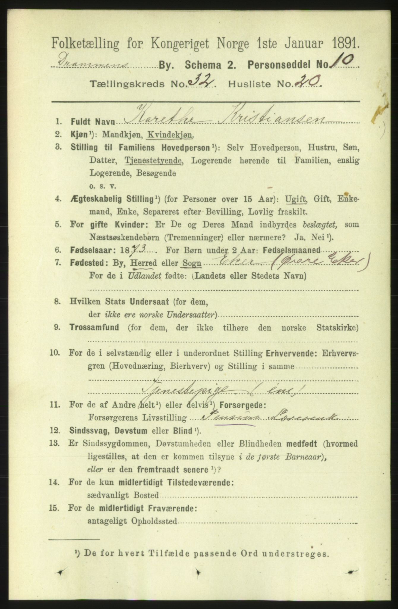 RA, 1891 census for 0602 Drammen, 1891, p. 19521