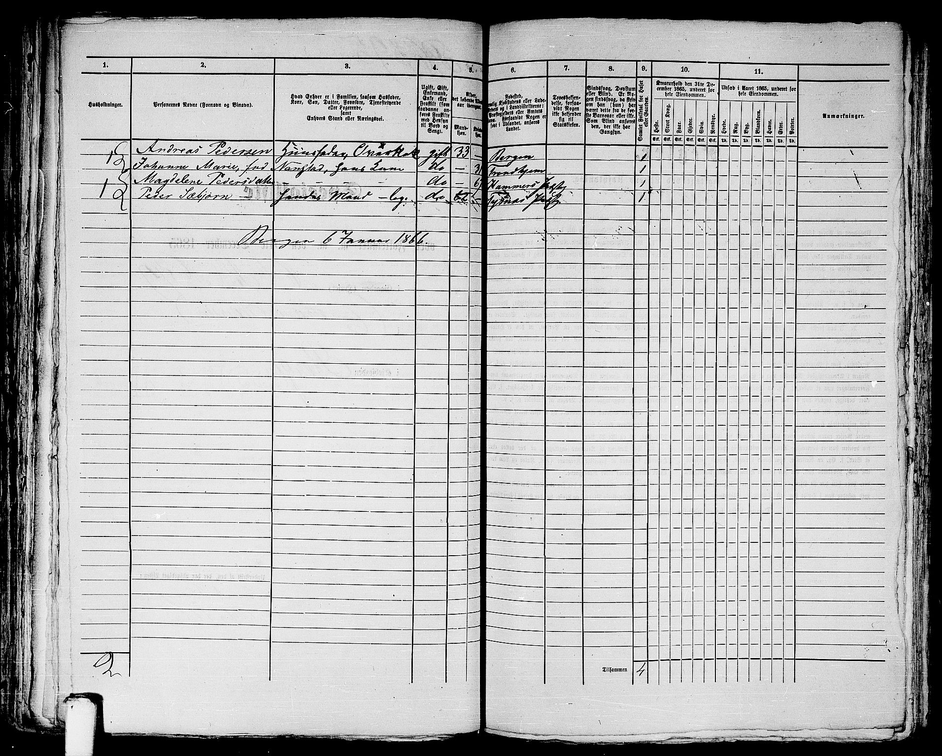 RA, 1865 census for Bergen, 1865, p. 1255