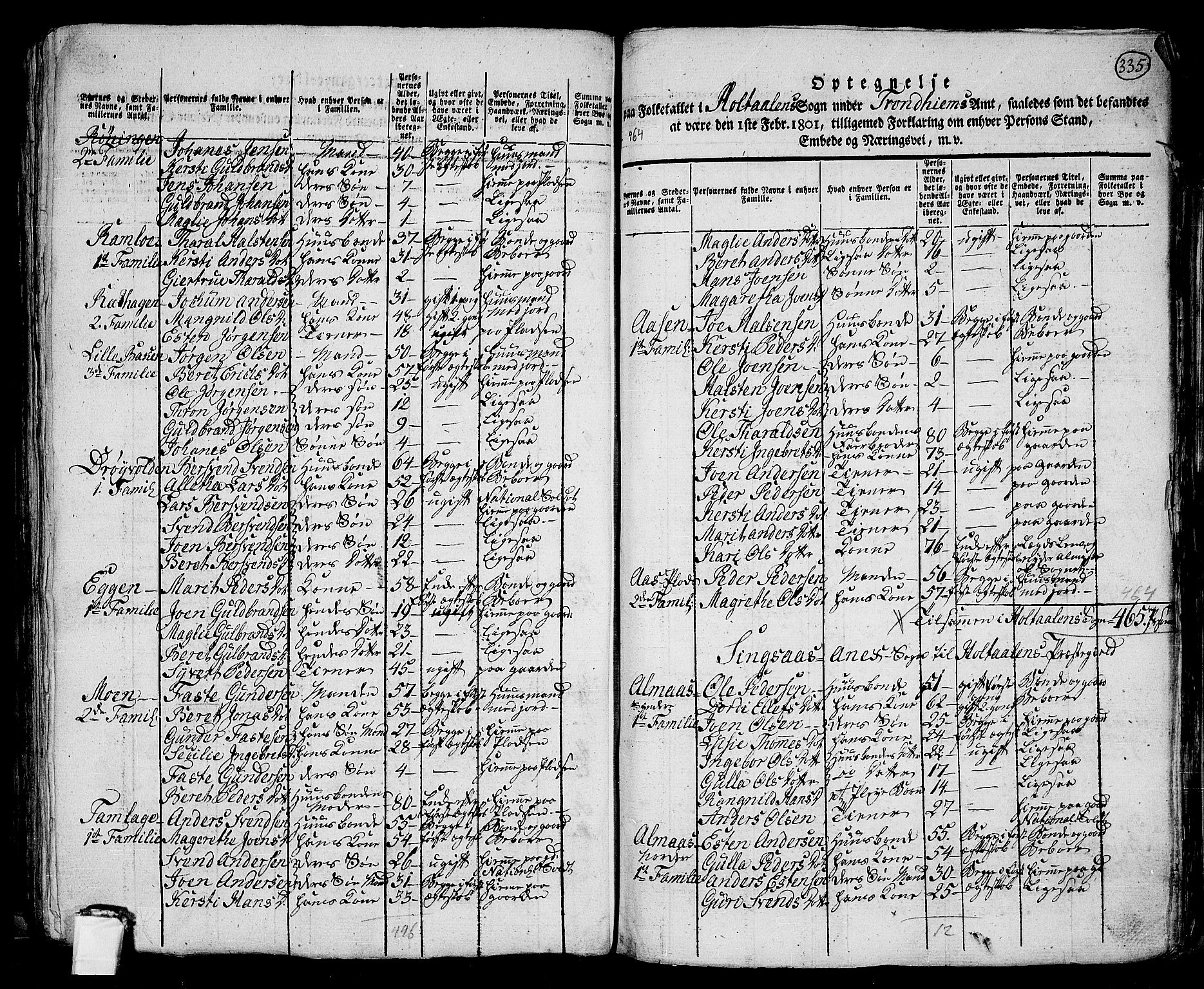 RA, 1801 census for 1645P Haltdalen, 1801, p. 334b-335a