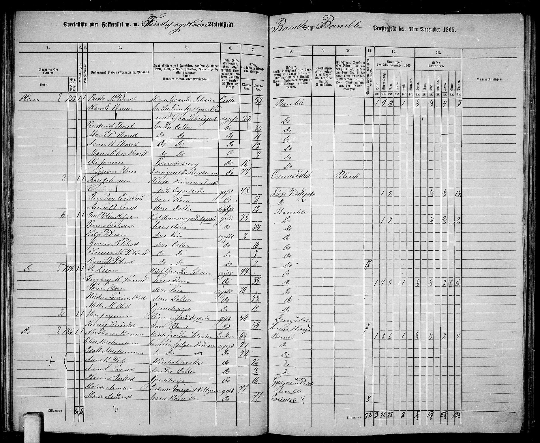 RA, 1865 census for Bamble, 1865, p. 70