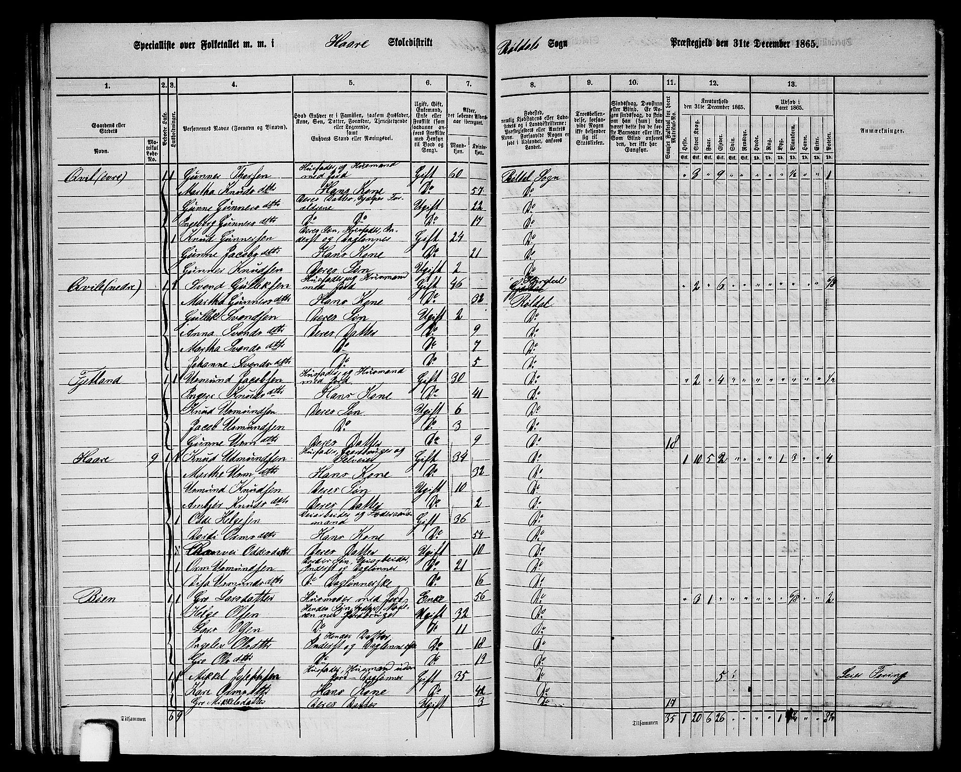 RA, 1865 census for Suldal, 1865, p. 162