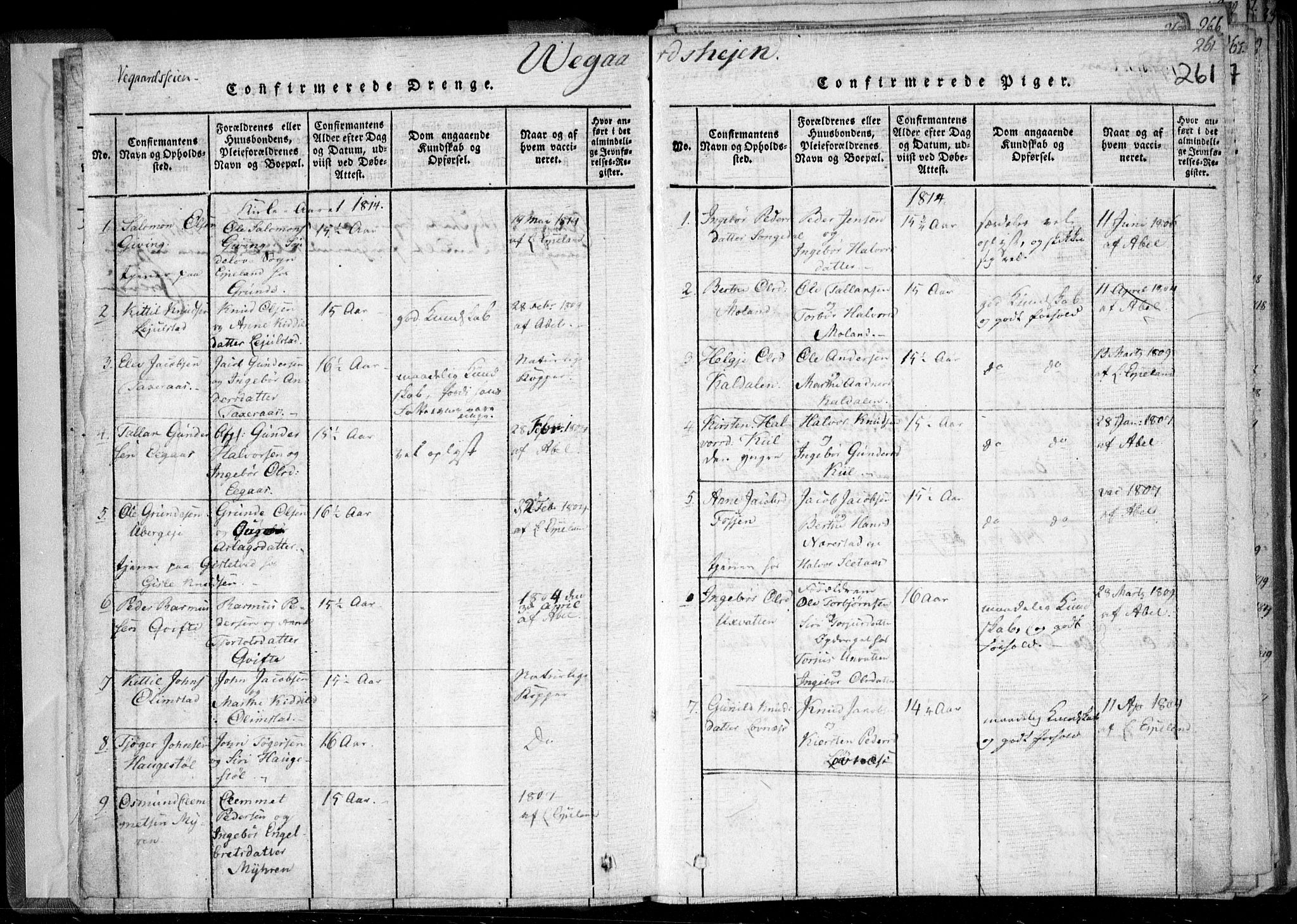 Holt sokneprestkontor, SAK/1111-0021/F/Fa/L0005: Parish register (official) no. A 5, 1813-1821, p. 261