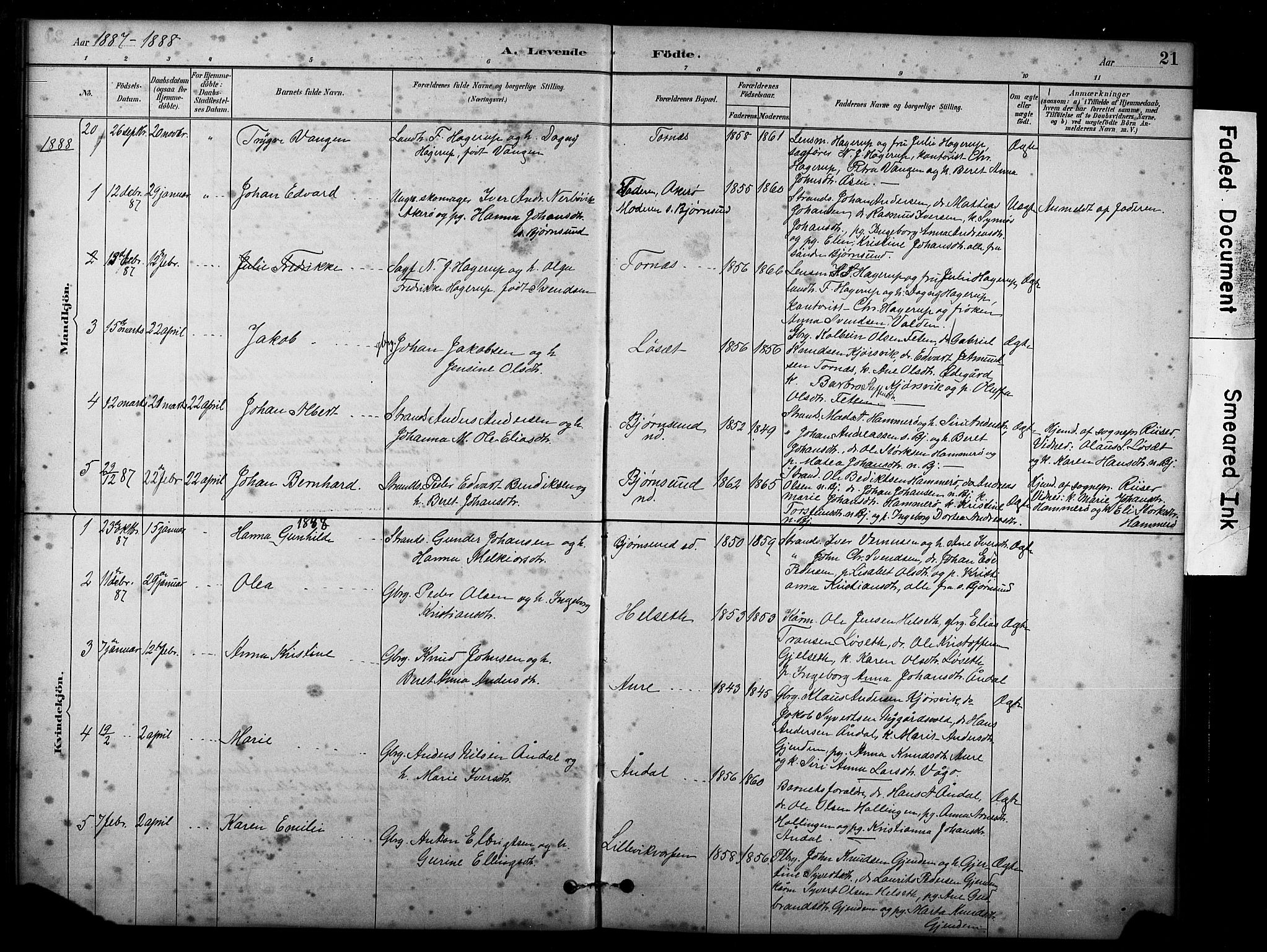 Ministerialprotokoller, klokkerbøker og fødselsregistre - Møre og Romsdal, AV/SAT-A-1454/565/L0755: Parish register (copy) no. 565C04, 1883-1903, p. 21