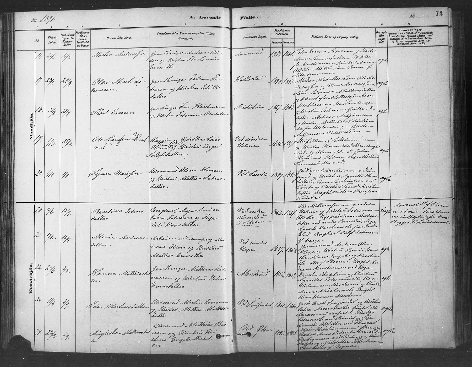 Fåberg prestekontor, AV/SAH-PREST-086/H/Ha/Haa/L0009: Parish register (official) no. 9, 1879-1898, p. 73