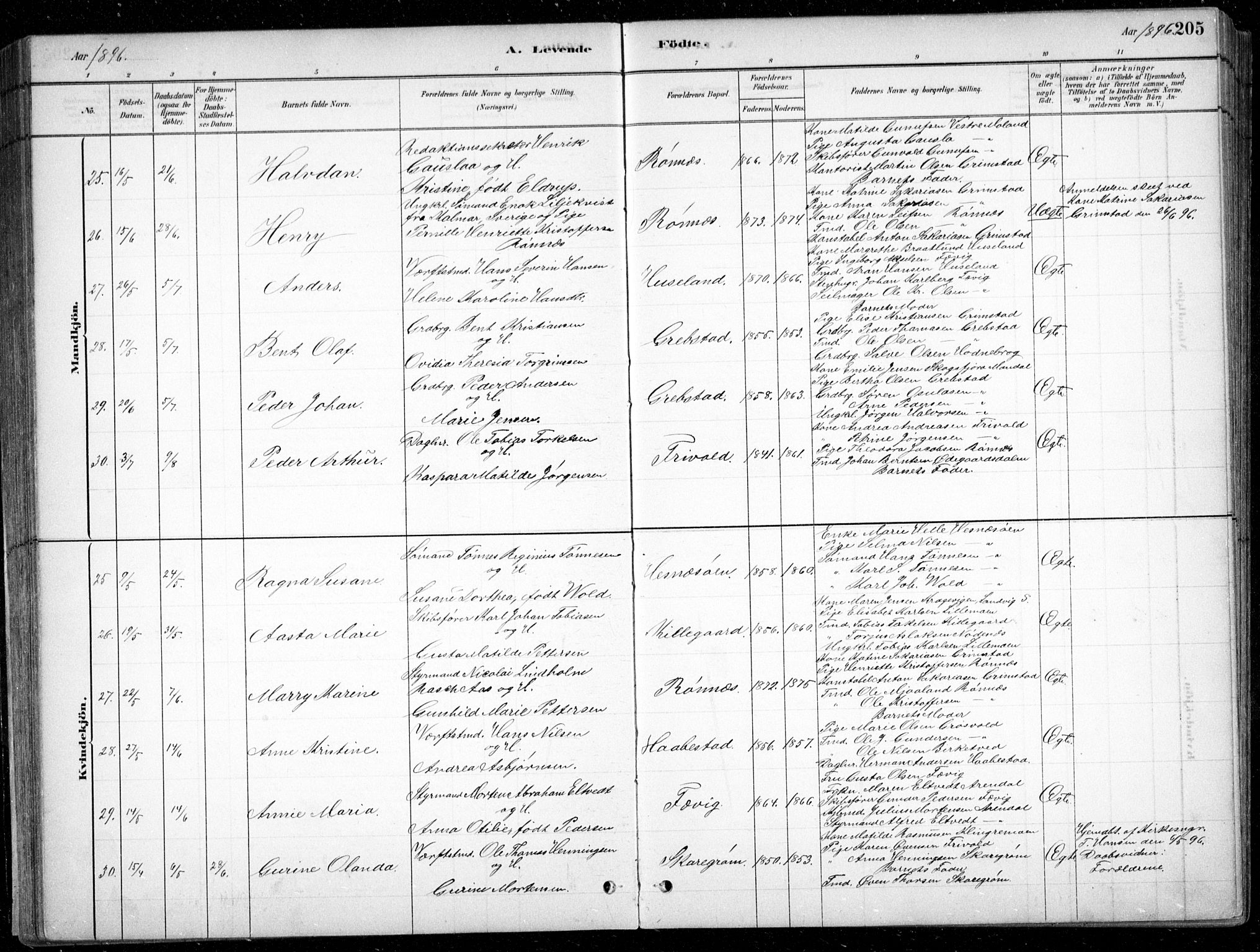 Fjære sokneprestkontor, SAK/1111-0011/F/Fb/L0011: Parish register (copy) no. B 11, 1881-1905, p. 205