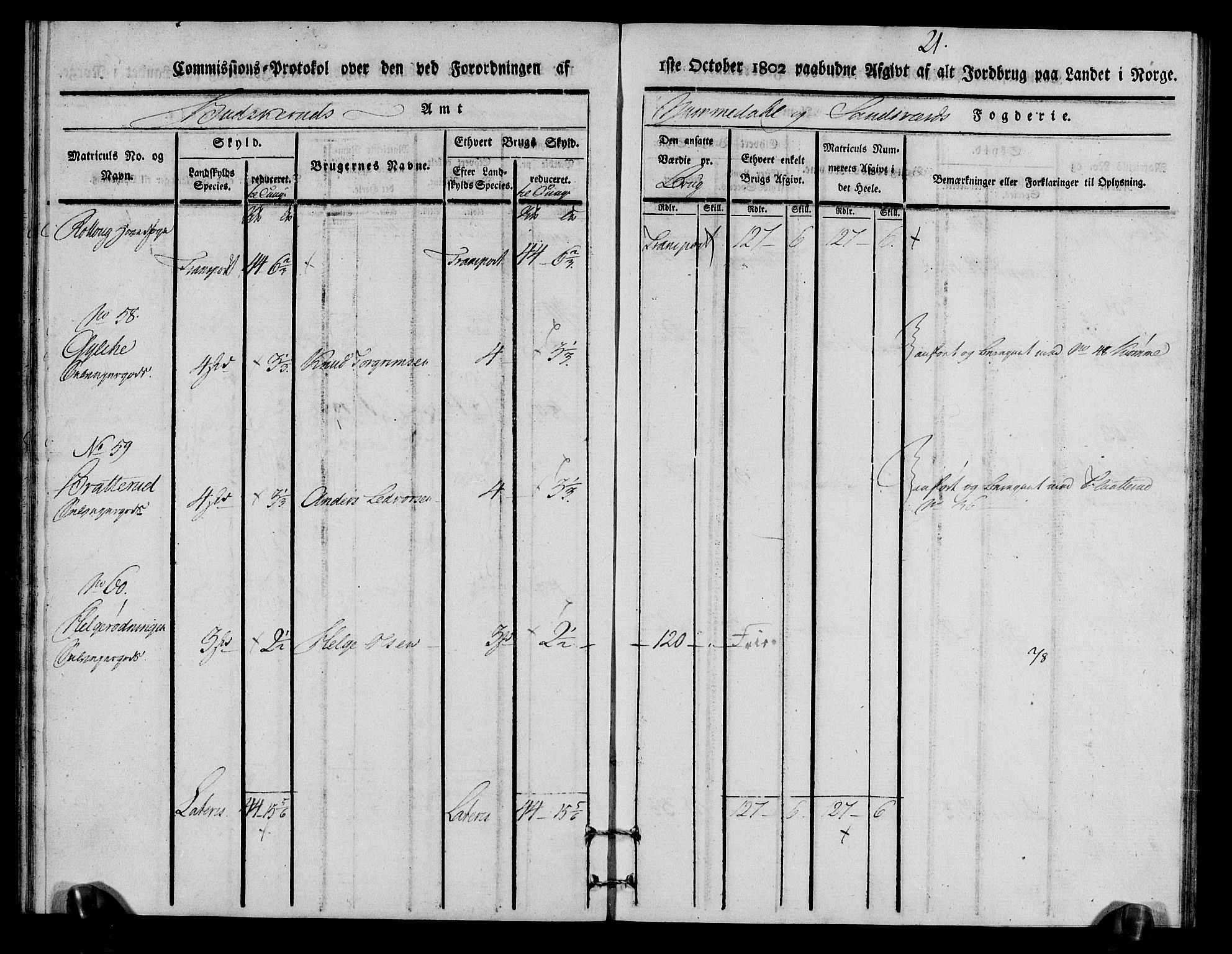 Rentekammeret inntil 1814, Realistisk ordnet avdeling, RA/EA-4070/N/Ne/Nea/L0056a: Numedal og Sandsvær fogderi. Kommisjonsprotokoll for Rollag hovedsogn og Veggli anneks, 1803, p. 22