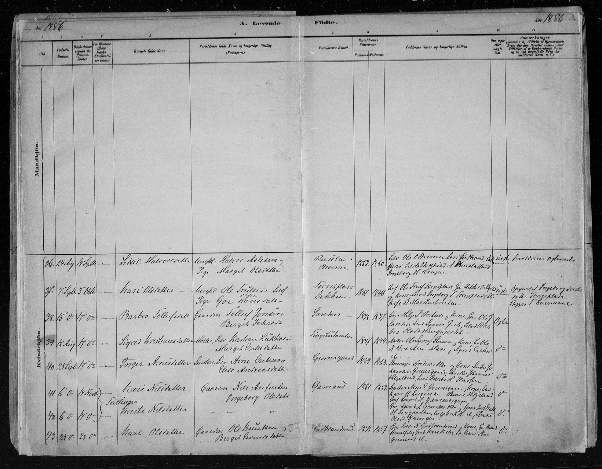 Nes kirkebøker, AV/SAKO-A-236/F/Fa/L0011: Parish register (official) no. 11, 1881-1912, p. 36