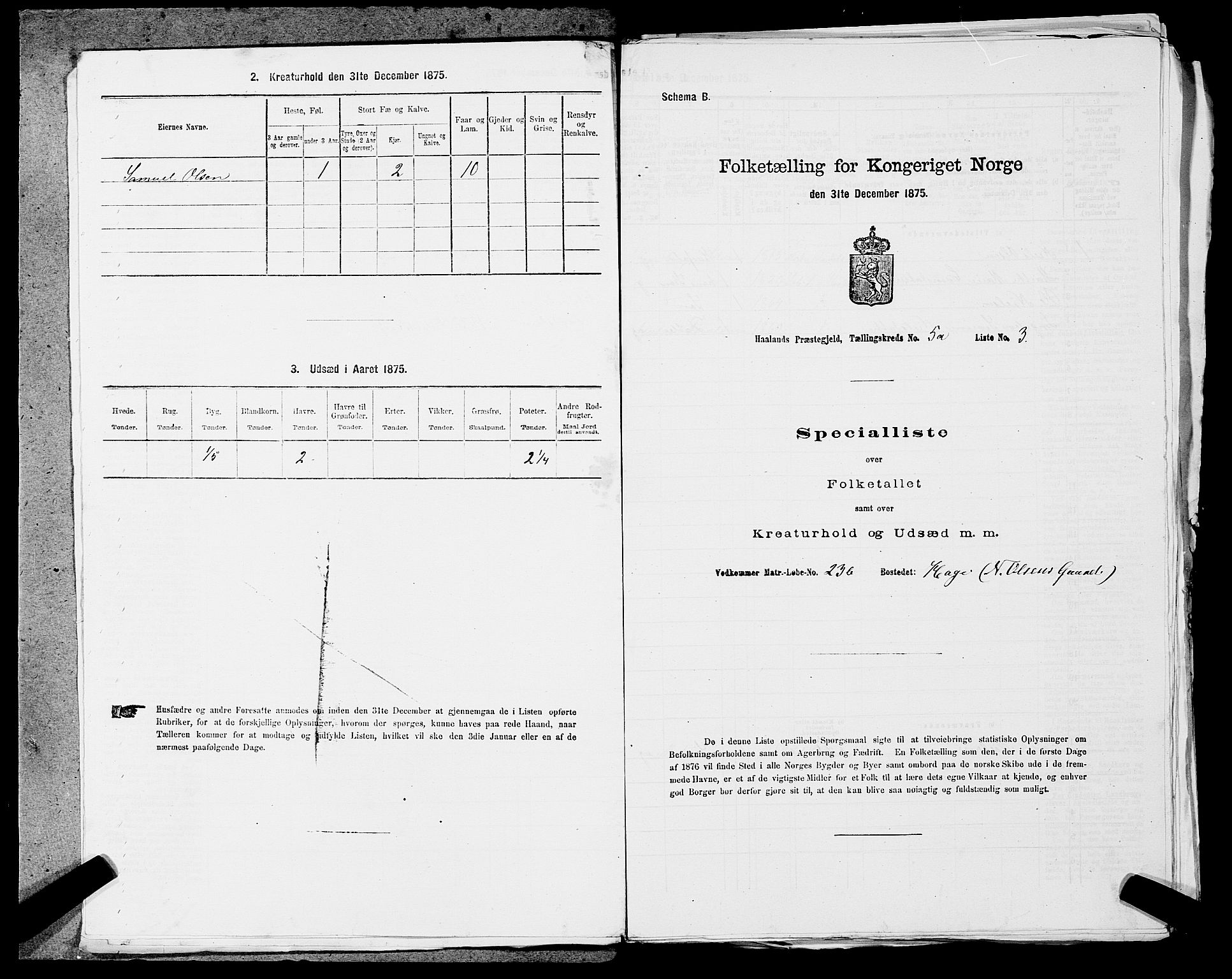 SAST, 1875 census for 1124P Håland, 1875, p. 646