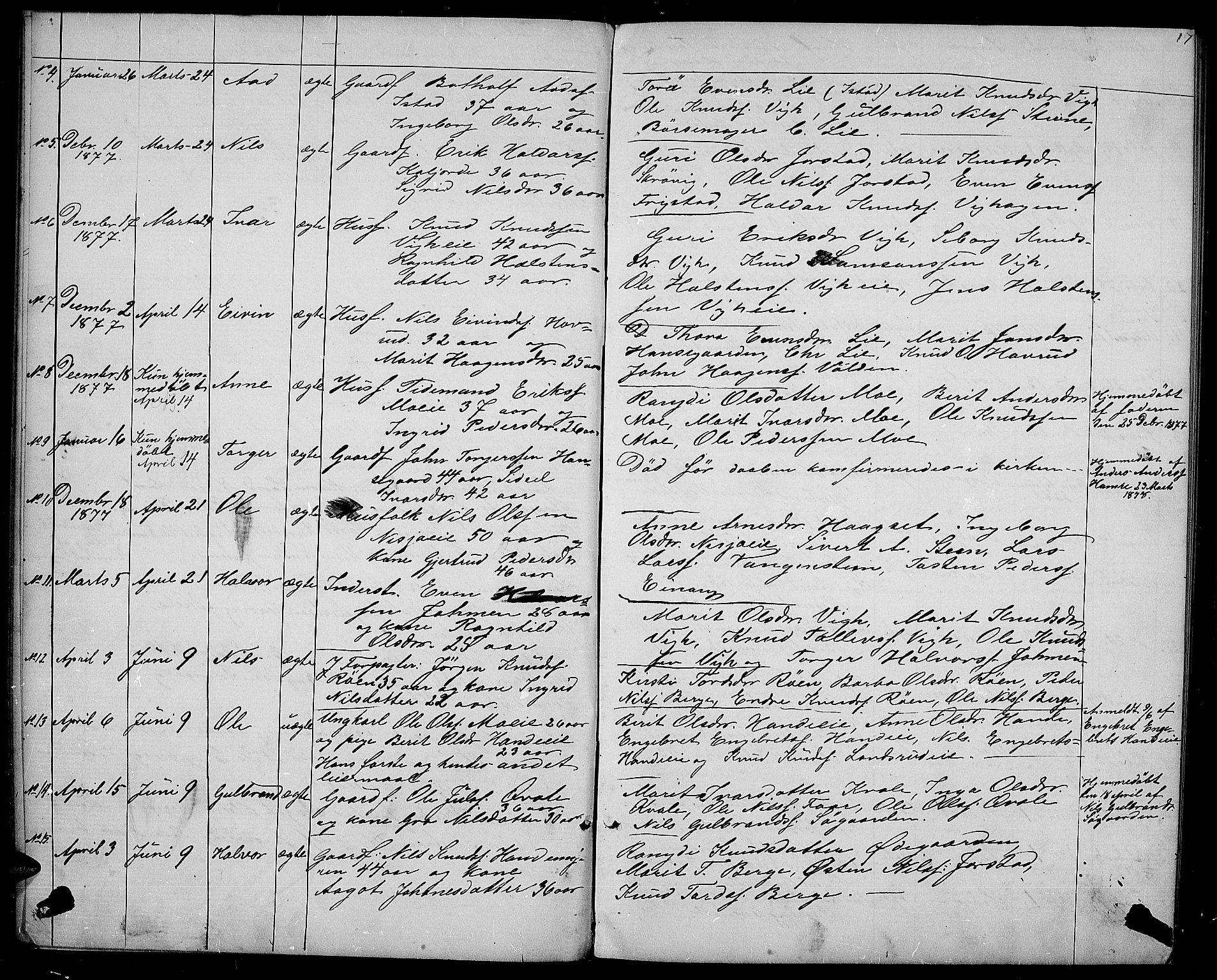 Vestre Slidre prestekontor, SAH/PREST-136/H/Ha/Hab/L0001: Parish register (copy) no. 1, 1869-1882, p. 17