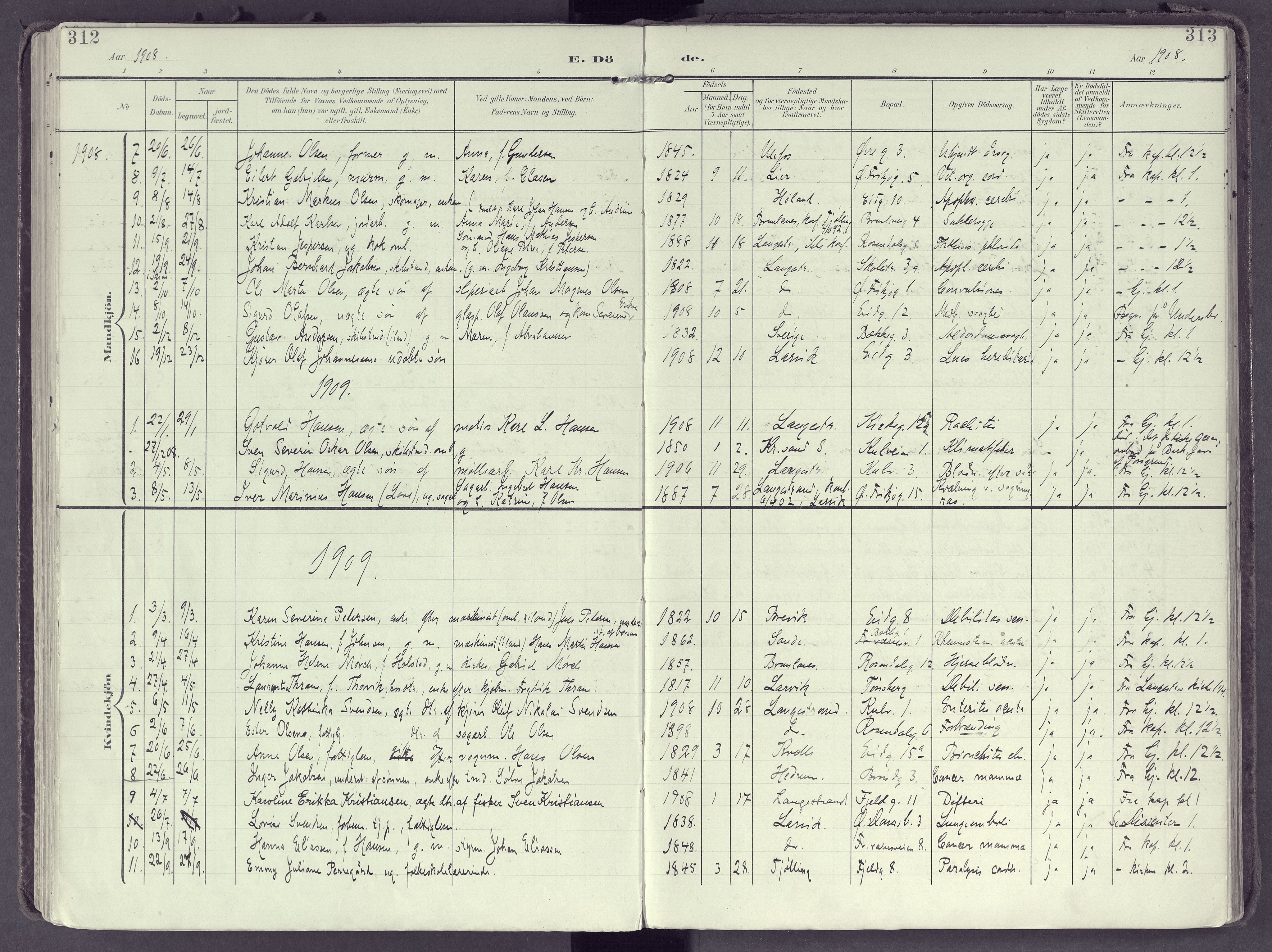 Larvik kirkebøker, SAKO/A-352/F/Fb/L0005: Parish register (official) no. II 5, 1903-1925, p. 312-313