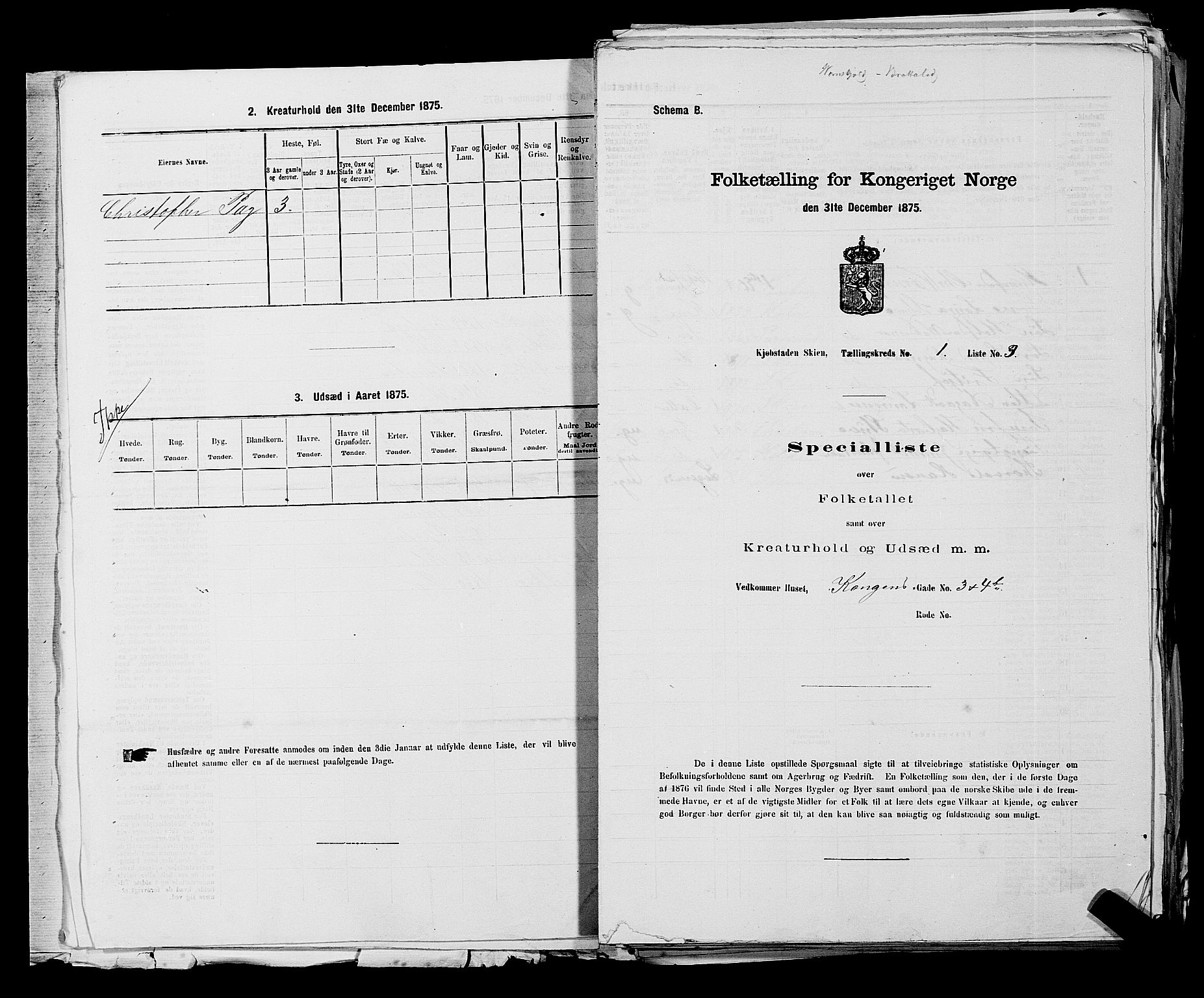 SAKO, 1875 census for 0806P Skien, 1875, p. 32