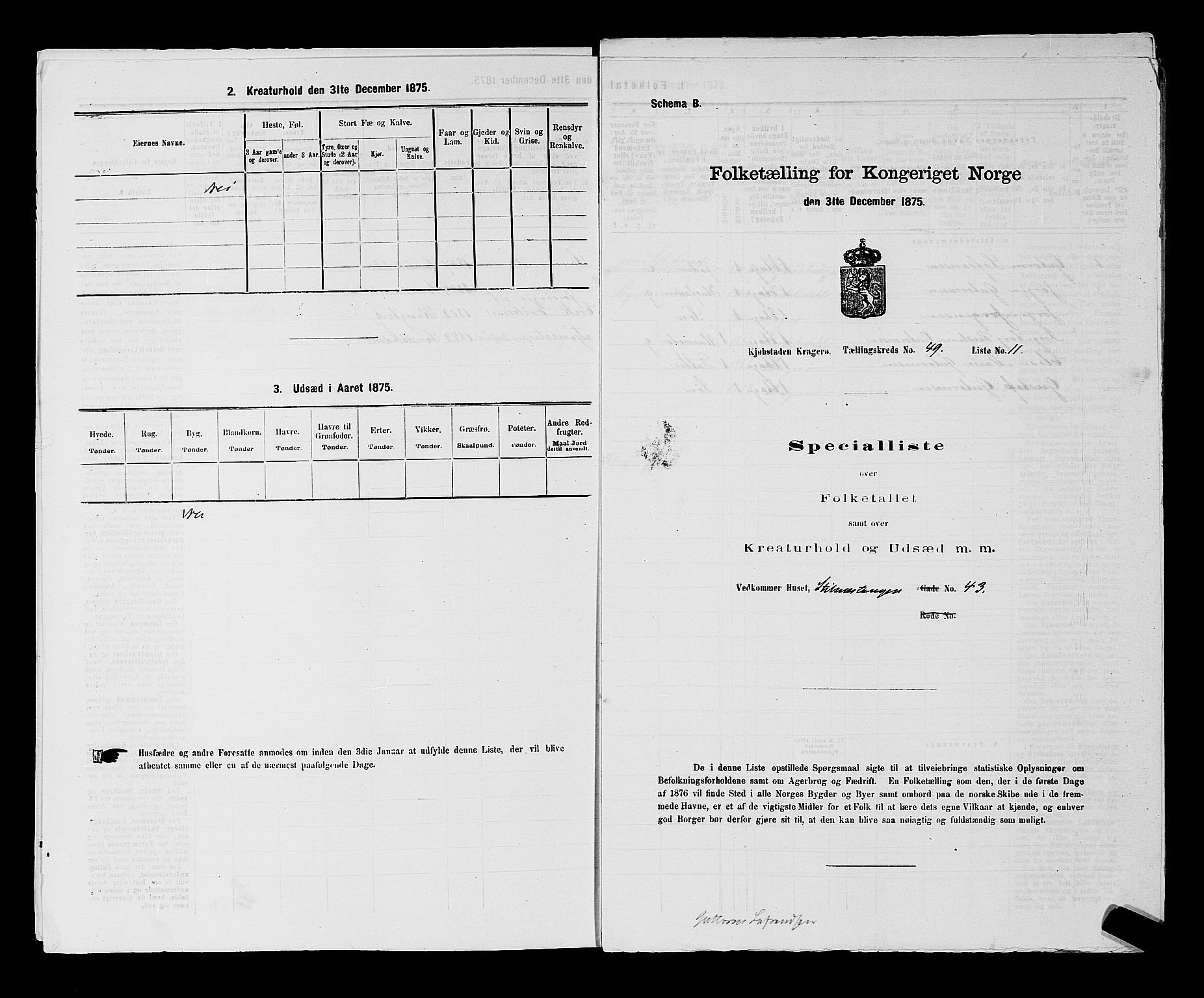 SAKO, 1875 census for 0801P Kragerø, 1875, p. 1100