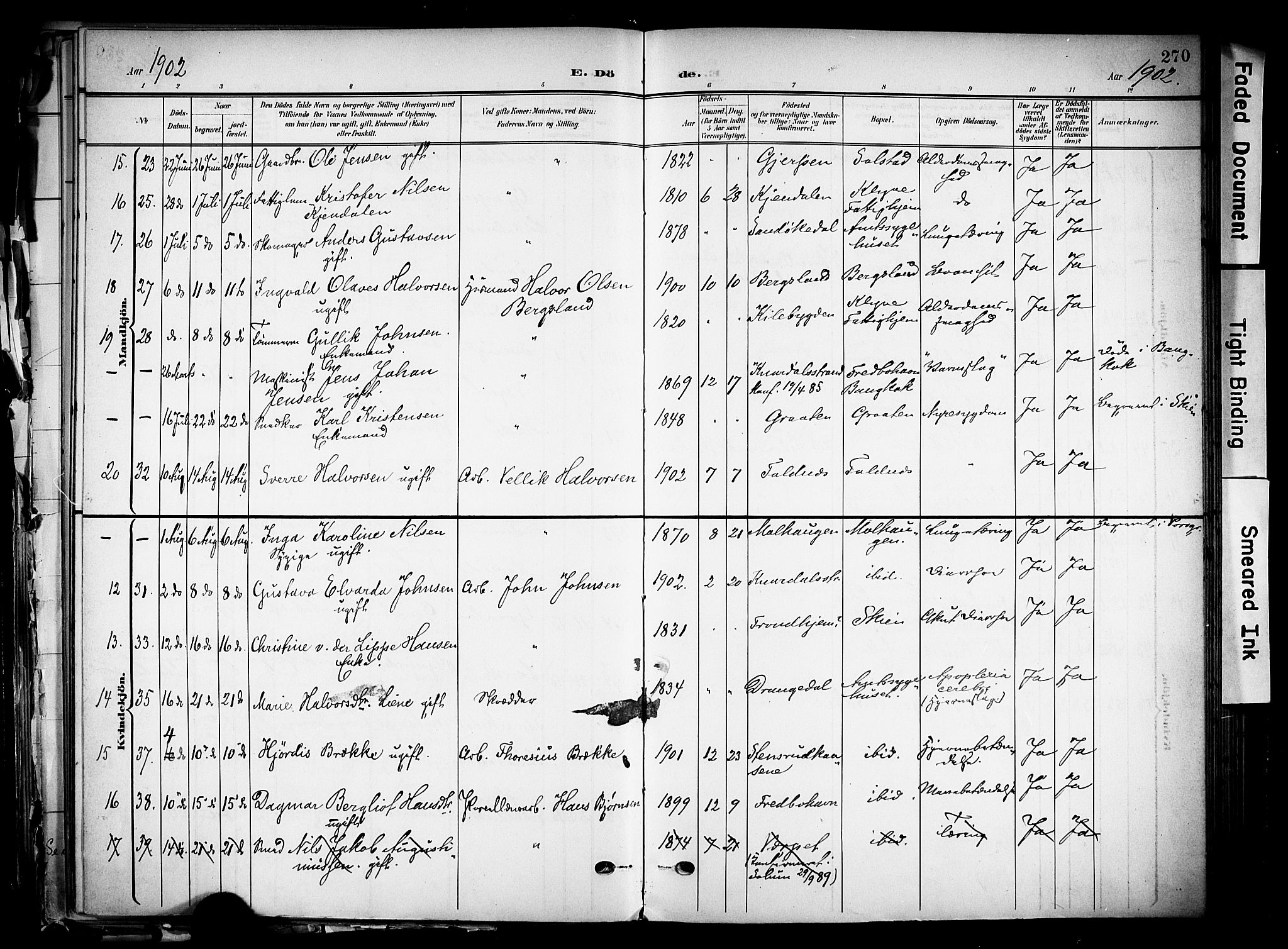 Solum kirkebøker, AV/SAKO-A-306/F/Fa/L0011: Parish register (official) no. I 11, 1898-1909, p. 270