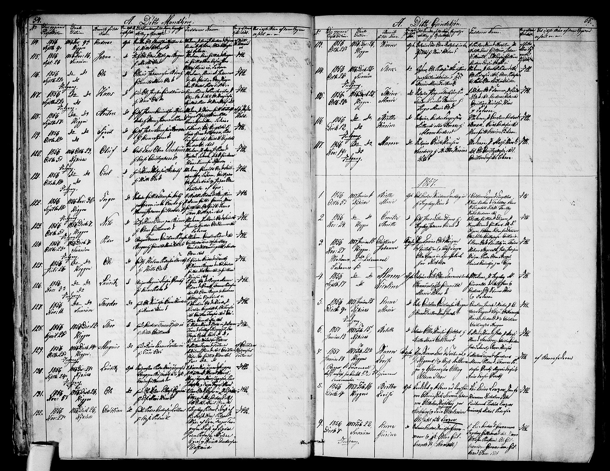 Modum kirkebøker, AV/SAKO-A-234/G/Ga/L0006: Parish register (copy) no. I 6, 1854-1868, p. 54-55