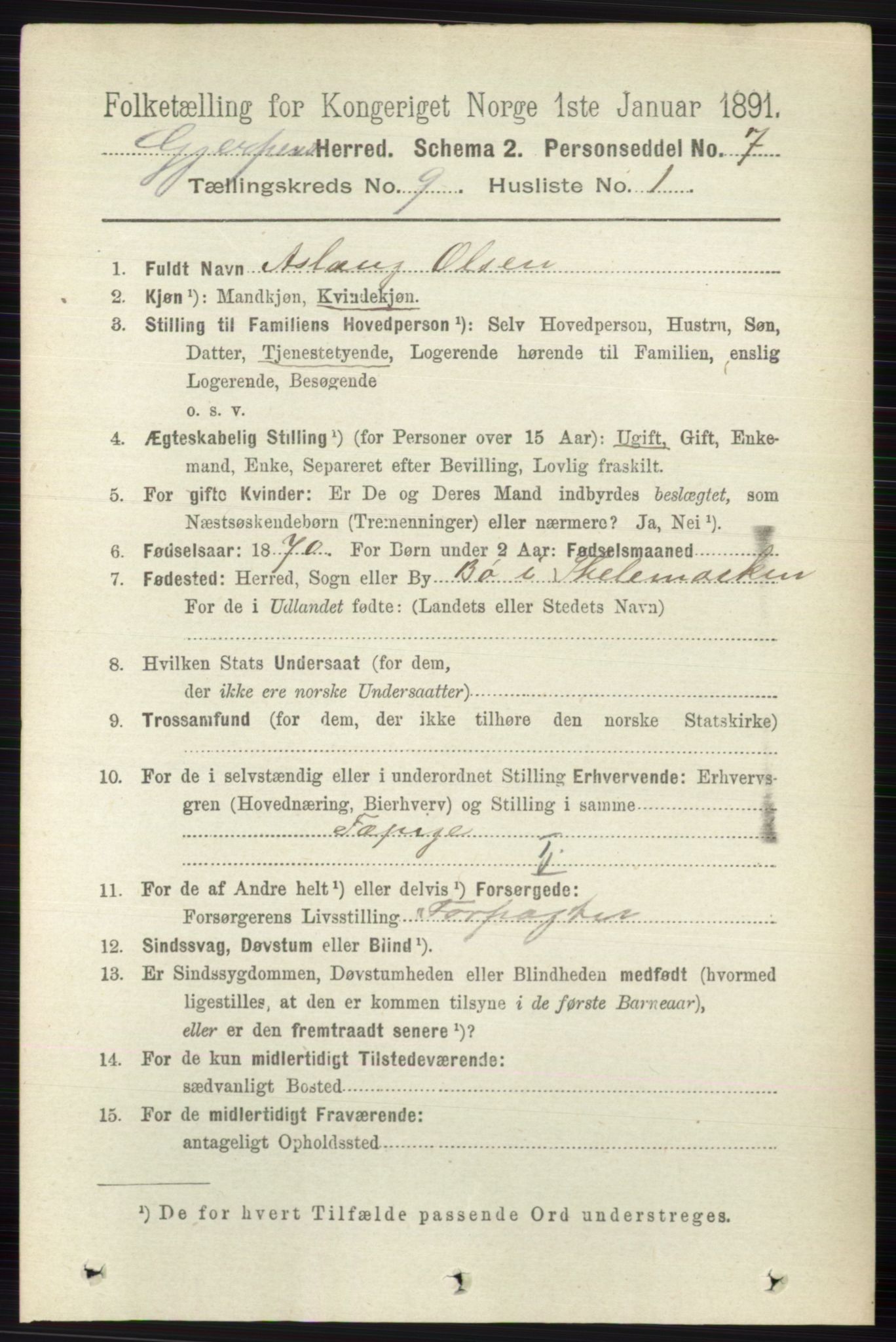 RA, 1891 census for 0812 Gjerpen, 1891, p. 4980