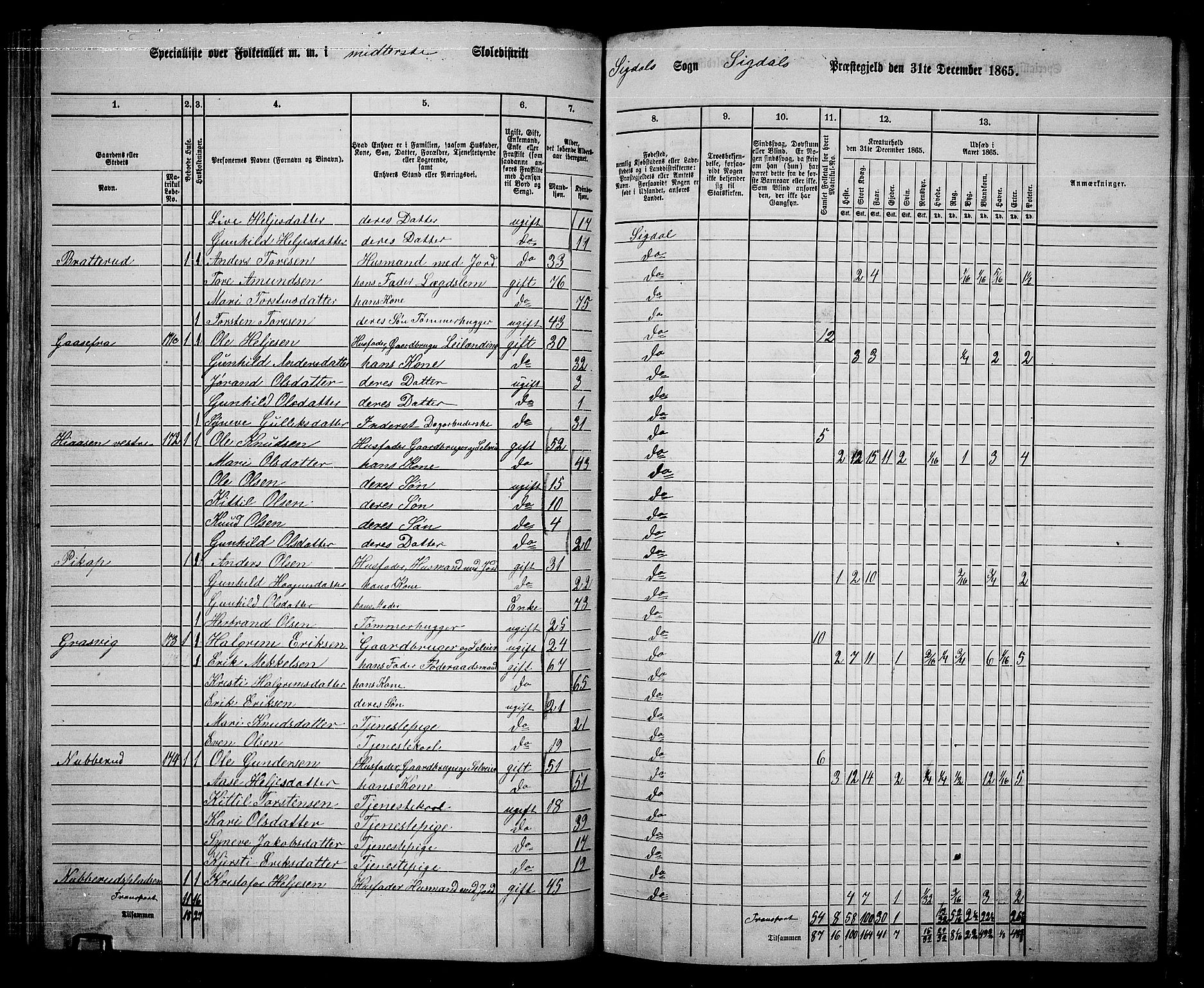 RA, 1865 census for Sigdal, 1865, p. 107