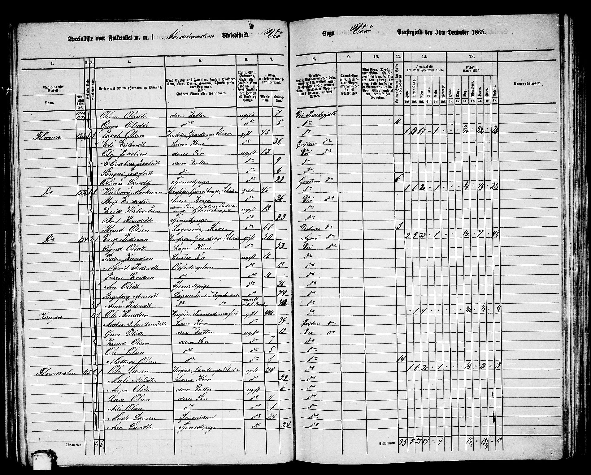 RA, 1865 census for Veøy, 1865, p. 11