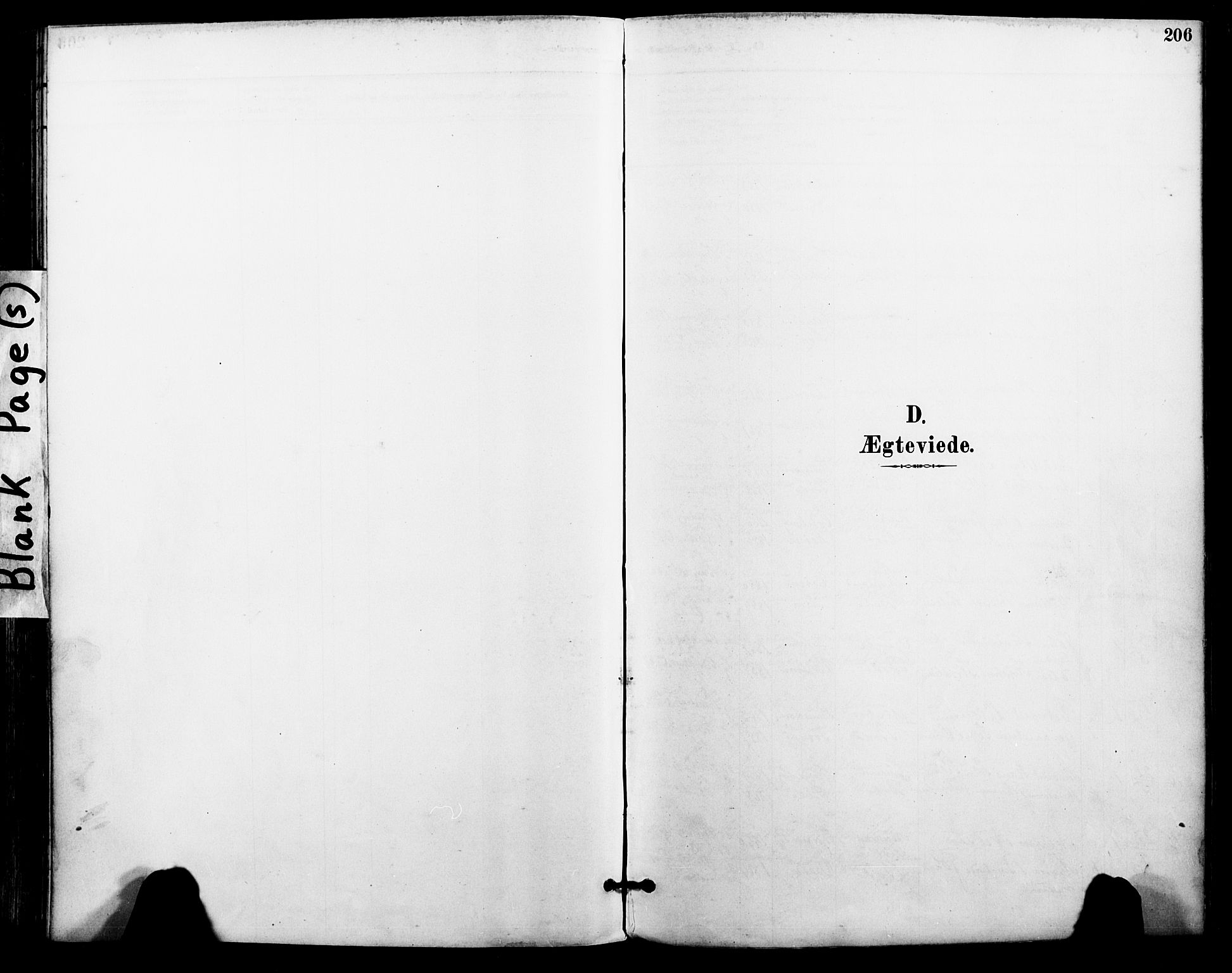 Ministerialprotokoller, klokkerbøker og fødselsregistre - Nordland, AV/SAT-A-1459/801/L0010: Parish register (official) no. 801A10, 1888-1899, p. 206