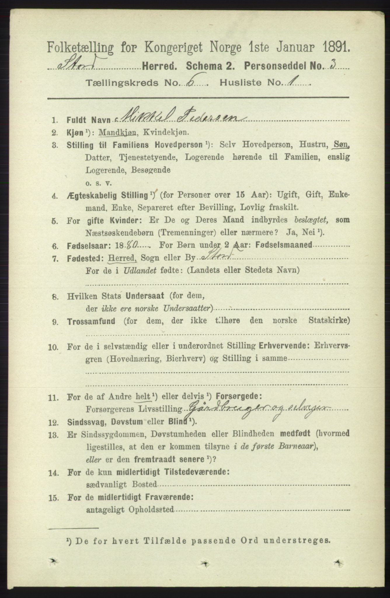 RA, 1891 census for 1221 Stord, 1891, p. 2166