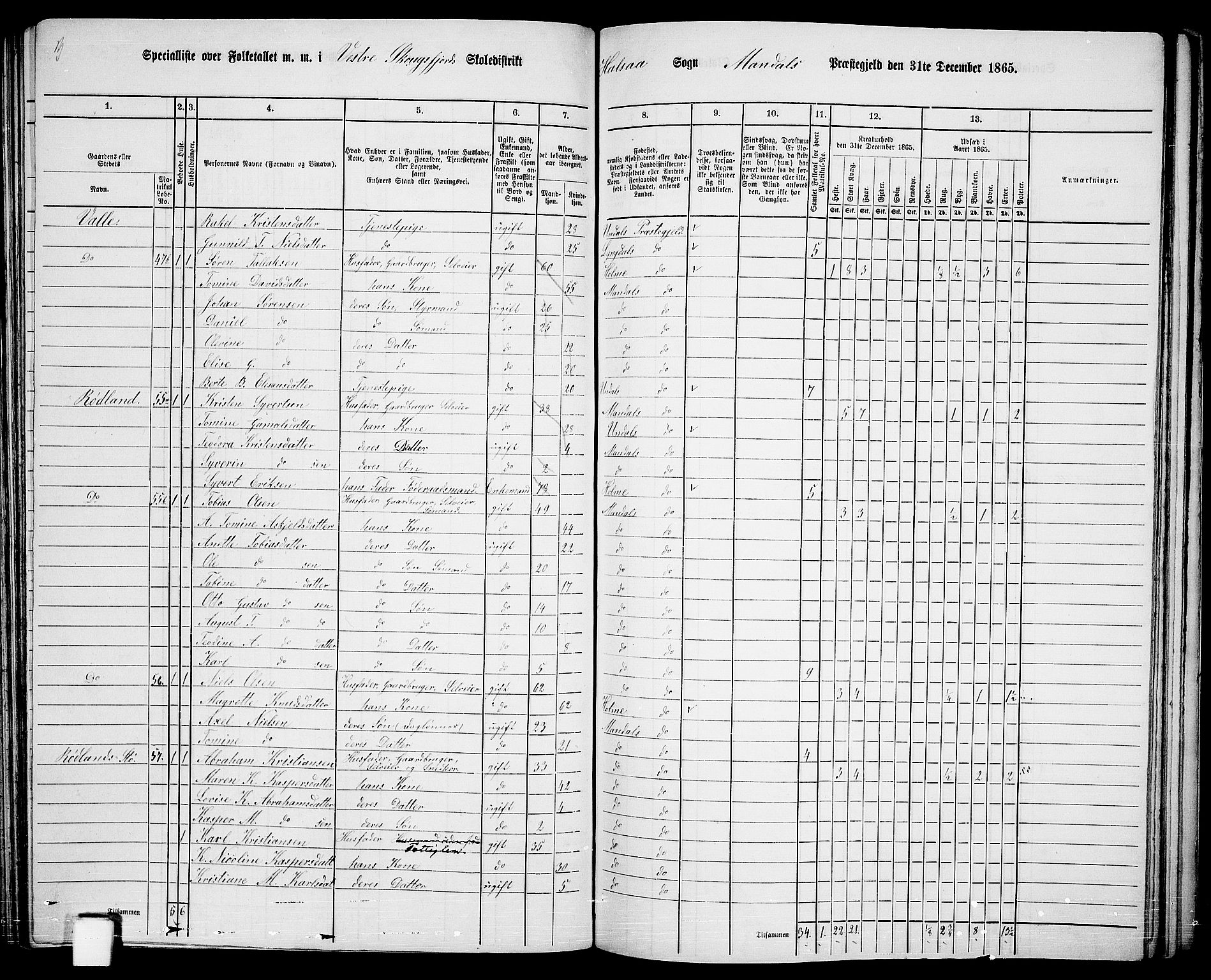 RA, 1865 census for Mandal/Halse og Harkmark, 1865, p. 88