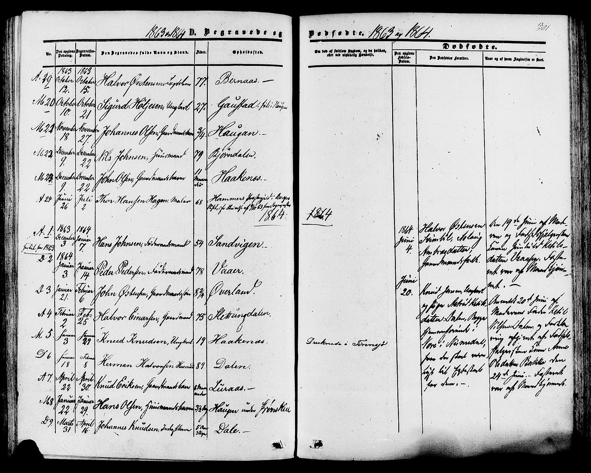 Tinn kirkebøker, AV/SAKO-A-308/F/Fa/L0006: Parish register (official) no. I 6, 1857-1878, p. 301