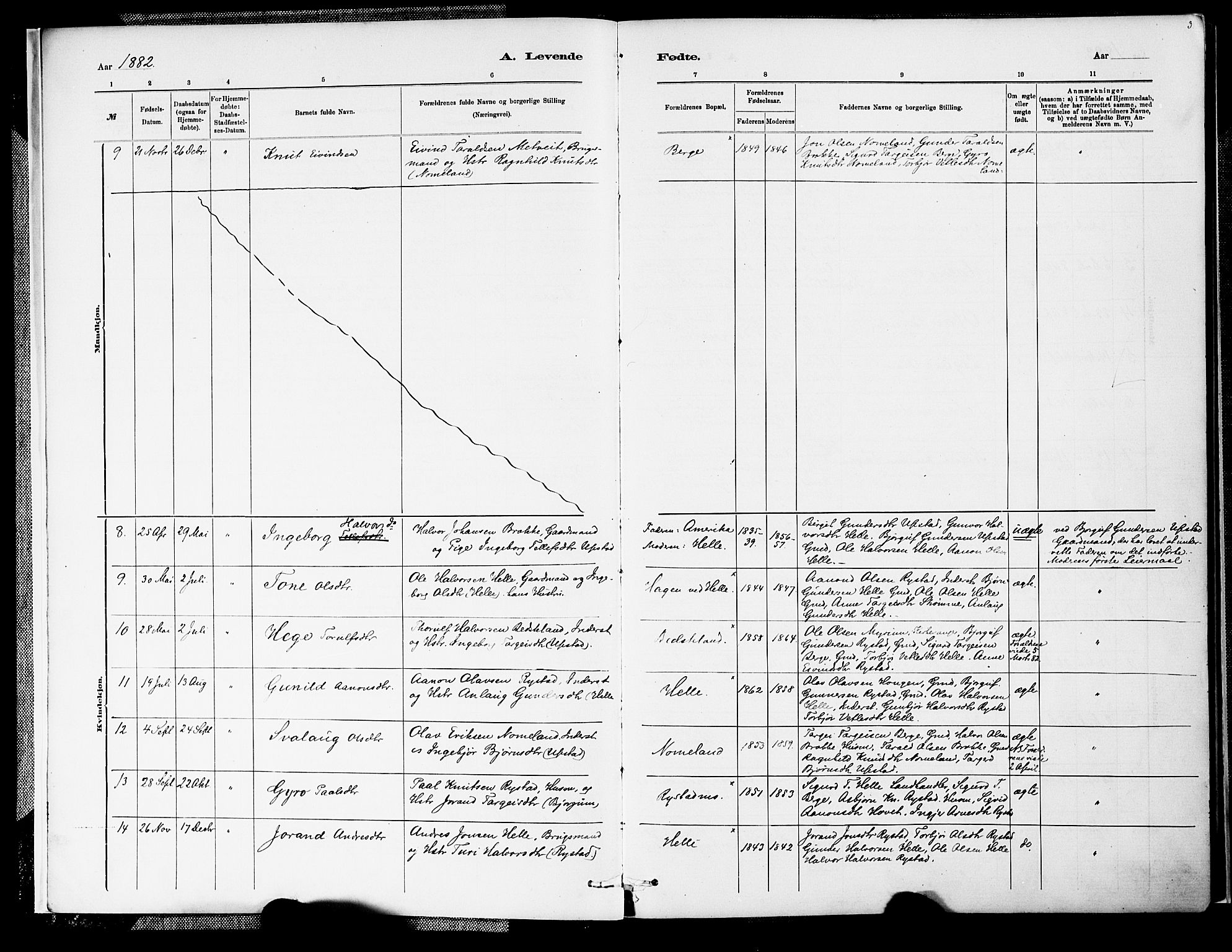 Valle sokneprestkontor, SAK/1111-0044/F/Fa/Fab/L0001: Parish register (official) no. A 1, 1882-1910, p. 3