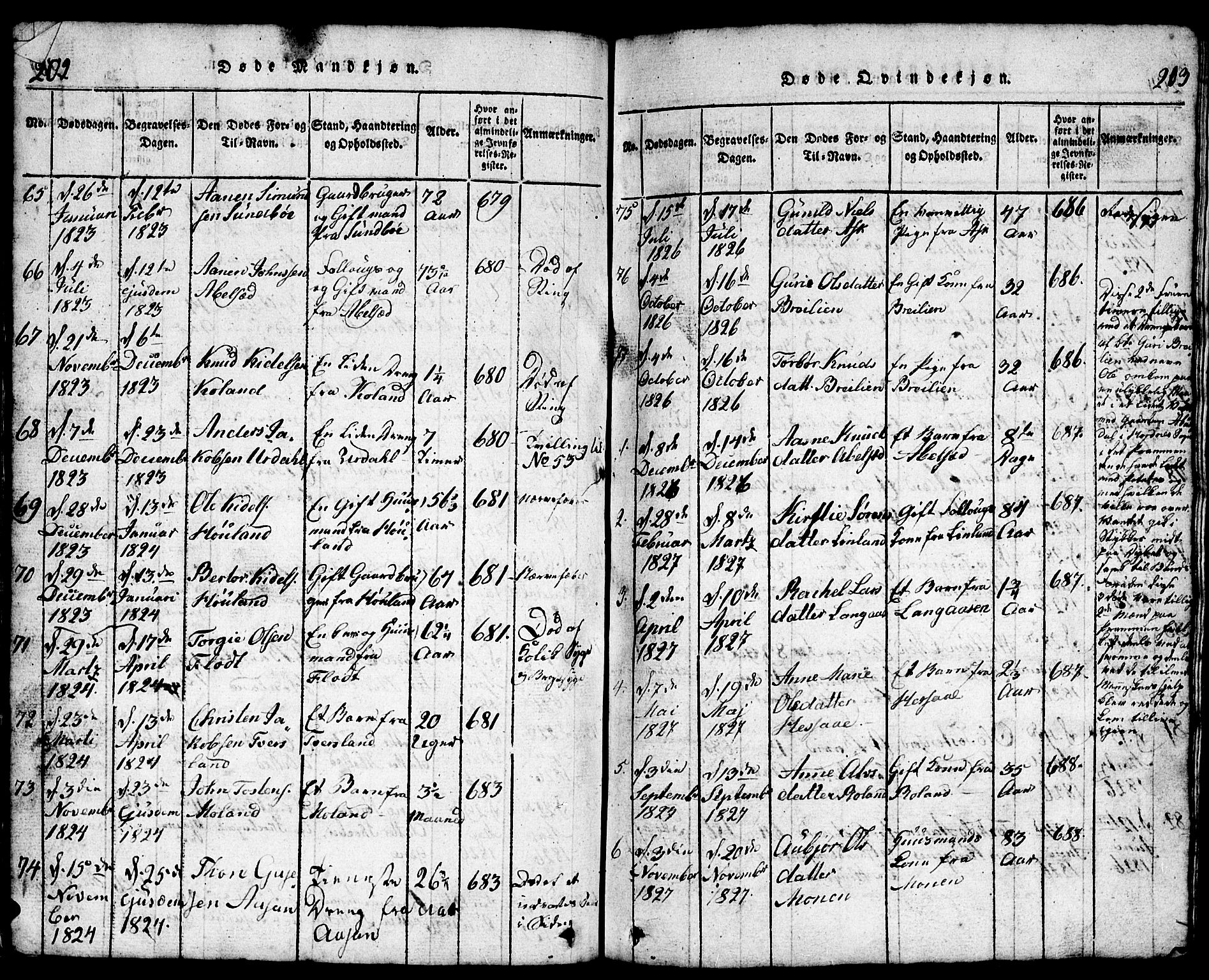 Bjelland sokneprestkontor, SAK/1111-0005/F/Fb/Fba/L0003: Parish register (copy) no. B 3, 1816-1870, p. 202-203