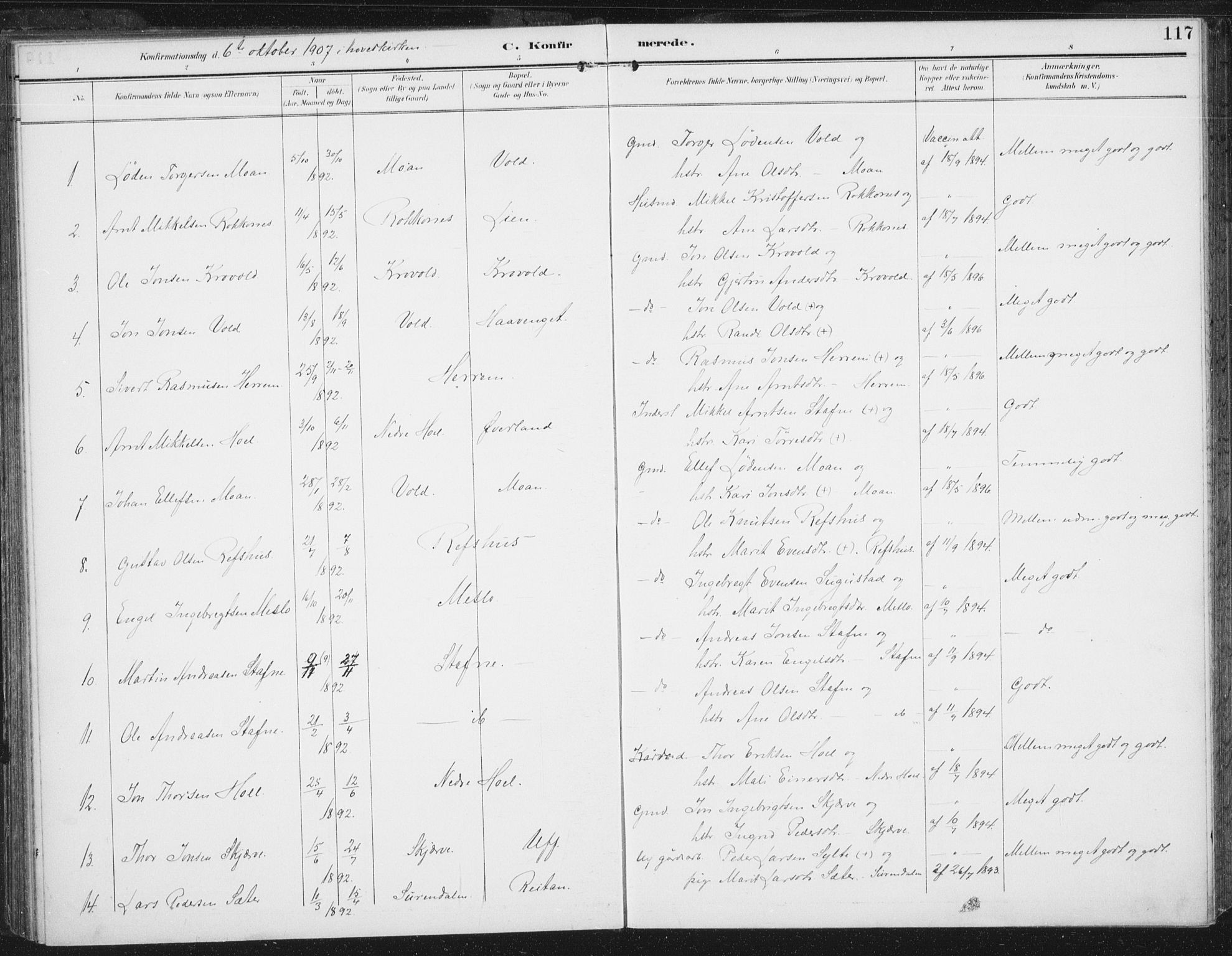 Ministerialprotokoller, klokkerbøker og fødselsregistre - Sør-Trøndelag, AV/SAT-A-1456/674/L0872: Parish register (official) no. 674A04, 1897-1907, p. 117