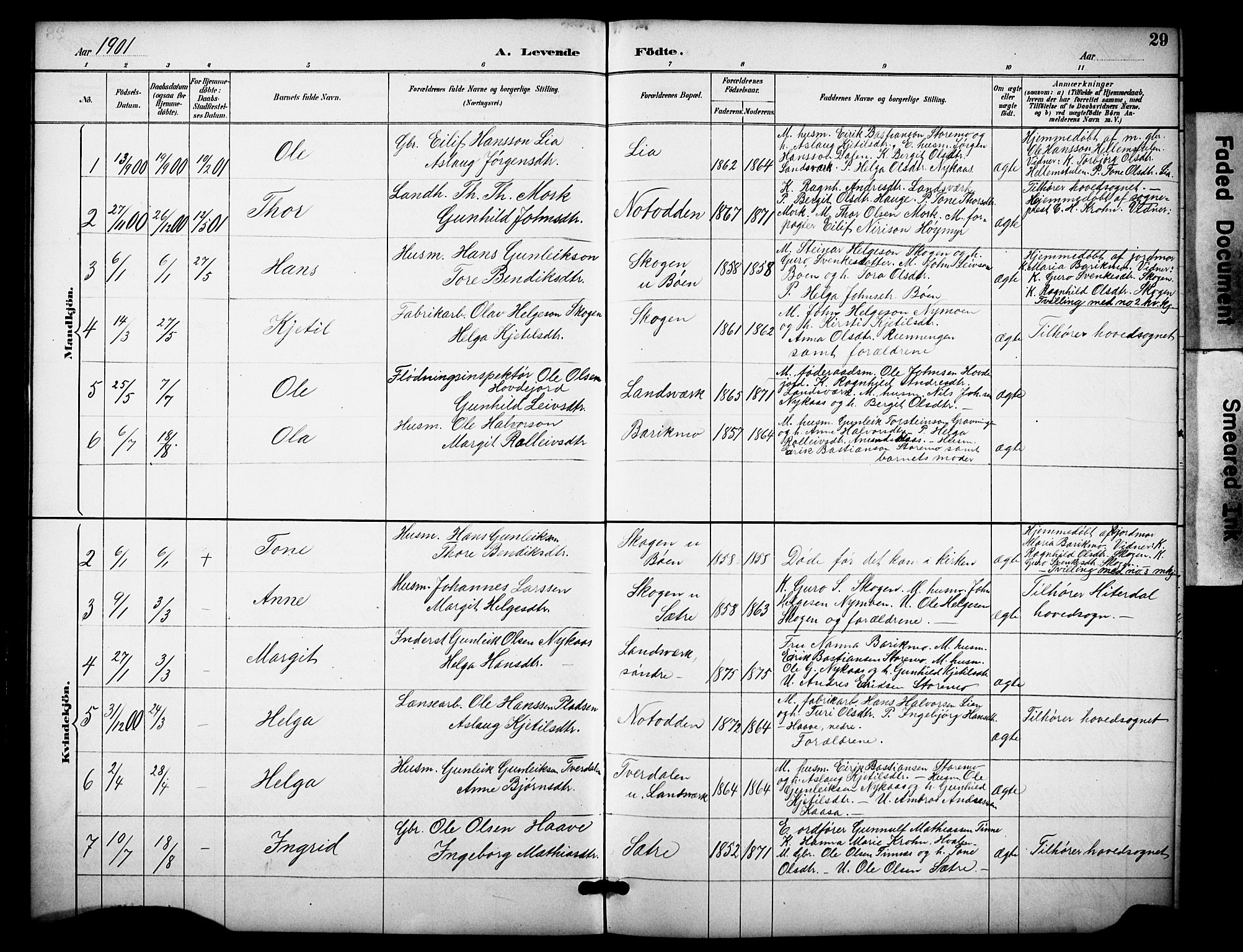 Heddal kirkebøker, SAKO/A-268/F/Fb/L0001: Parish register (official) no. II 1, 1884-1910, p. 29