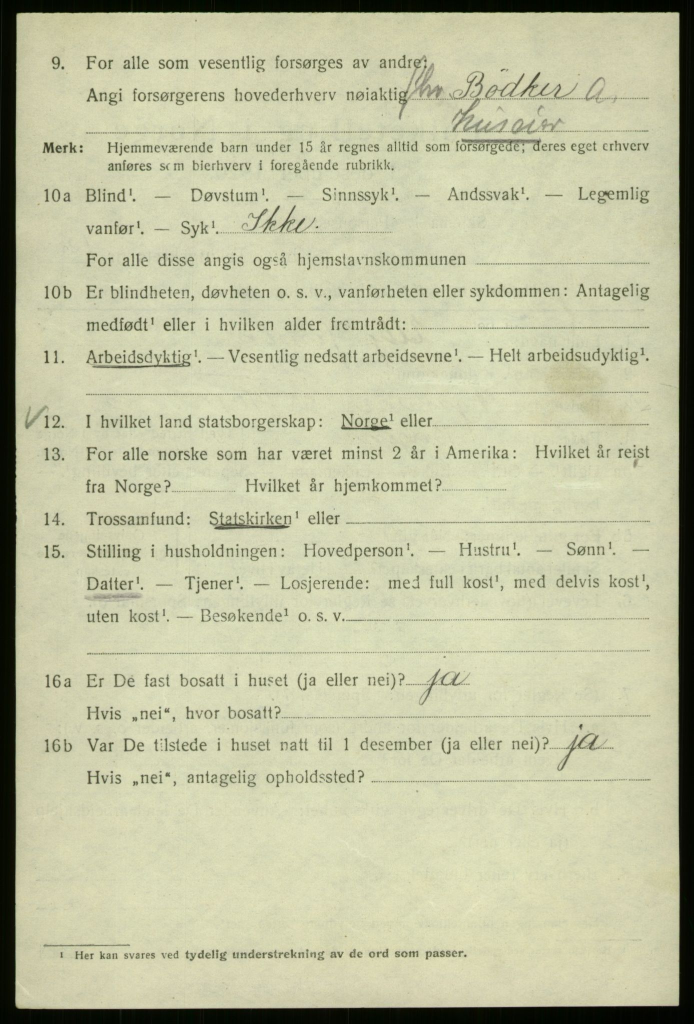 SAB, 1920 census for Bergen, 1920, p. 211411