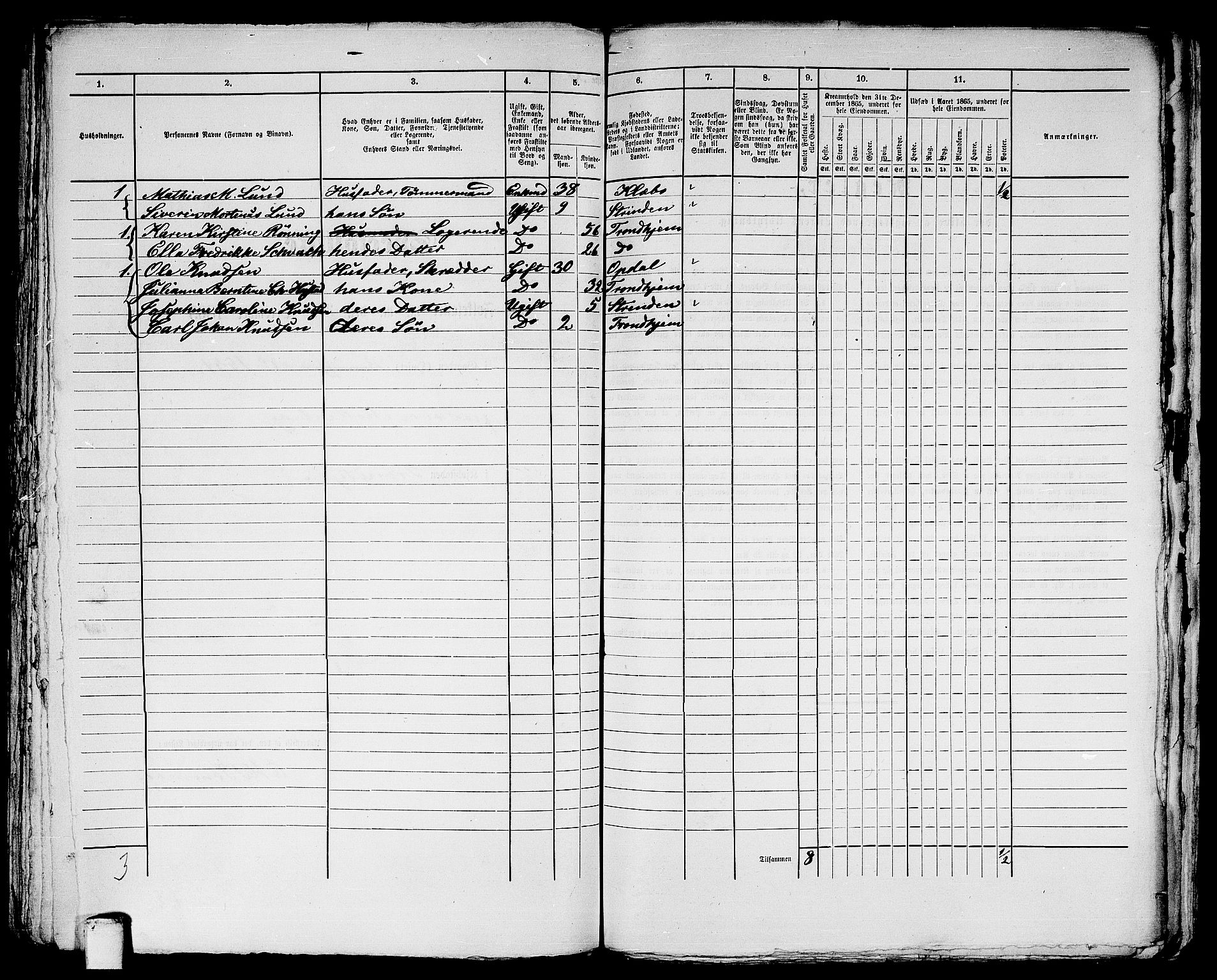 RA, 1865 census for Trondheim, 1865, p. 2973