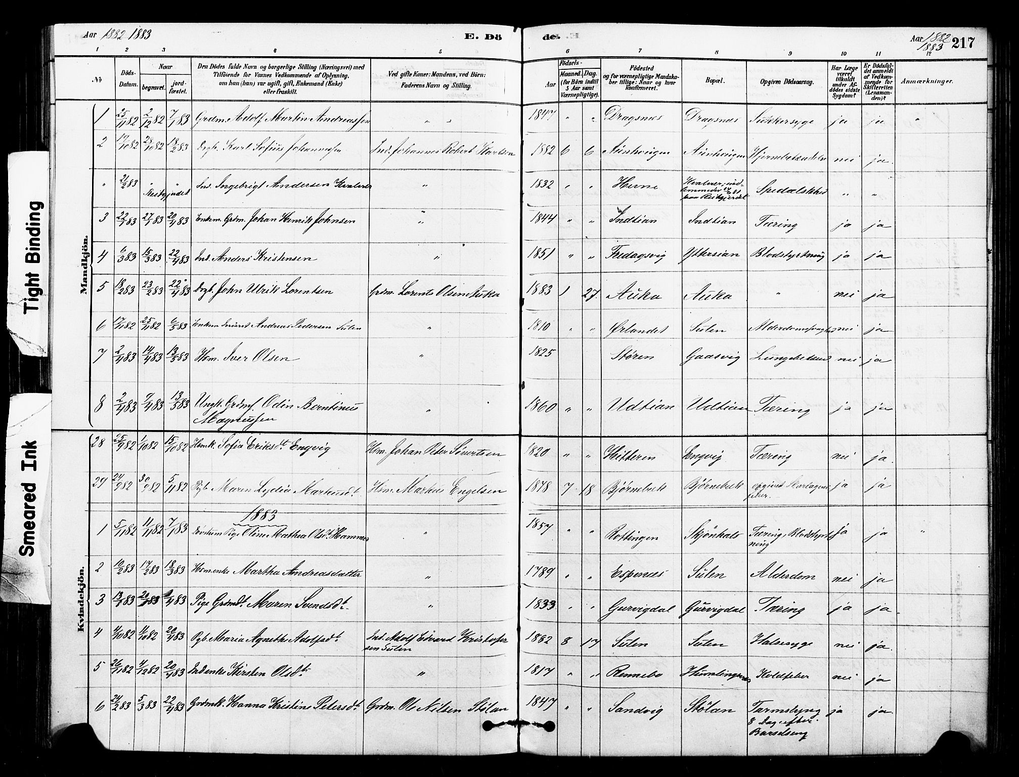 Ministerialprotokoller, klokkerbøker og fødselsregistre - Sør-Trøndelag, SAT/A-1456/640/L0578: Parish register (official) no. 640A03, 1879-1889, p. 217